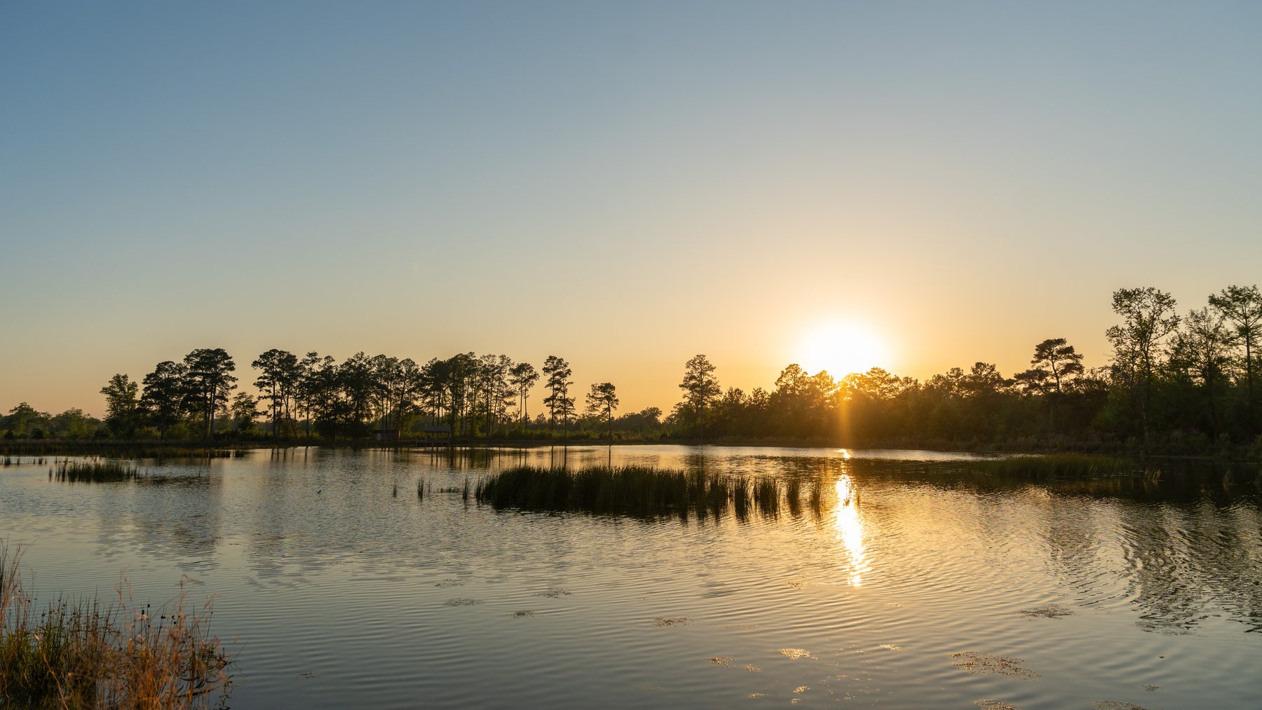 Image for 1,326 +/- Acres – Quail Crest Farms - Custom Lodge w/ Irrigated Acreage - Recreational Investment Opportunity