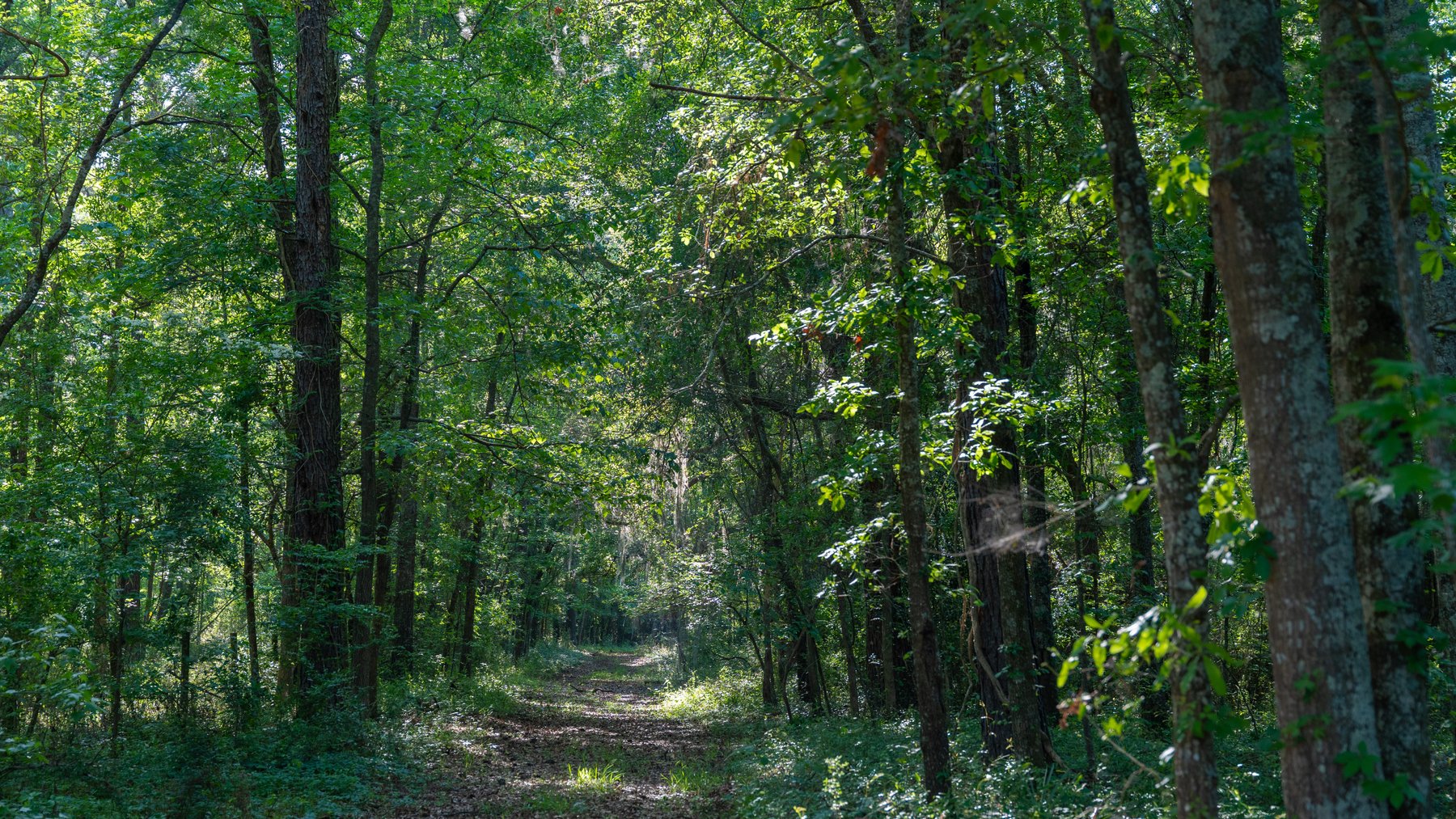 Image for 1,326 +/- Acres – Quail Crest Farms - Custom Lodge w/ Irrigated Acreage - Recreational Investment Opportunity