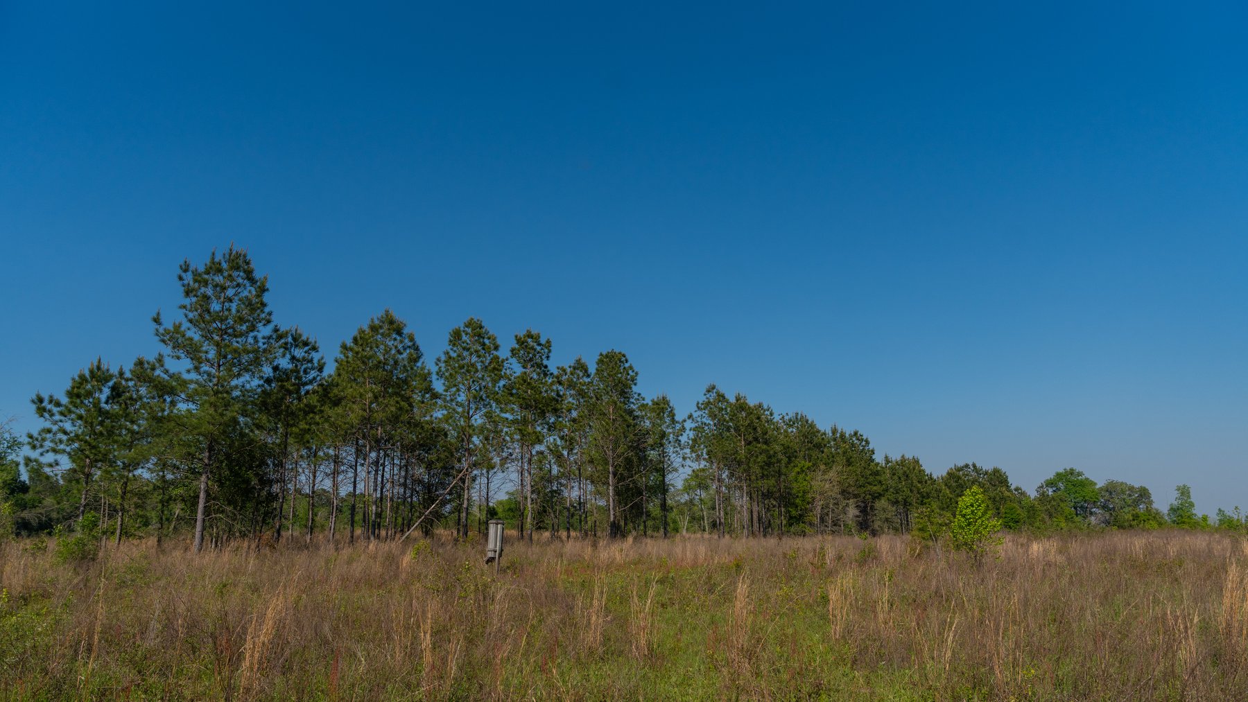 Image for 1,326 +/- Acres – Quail Crest Farms - Custom Lodge w/ Irrigated Acreage - Recreational Investment Opportunity
