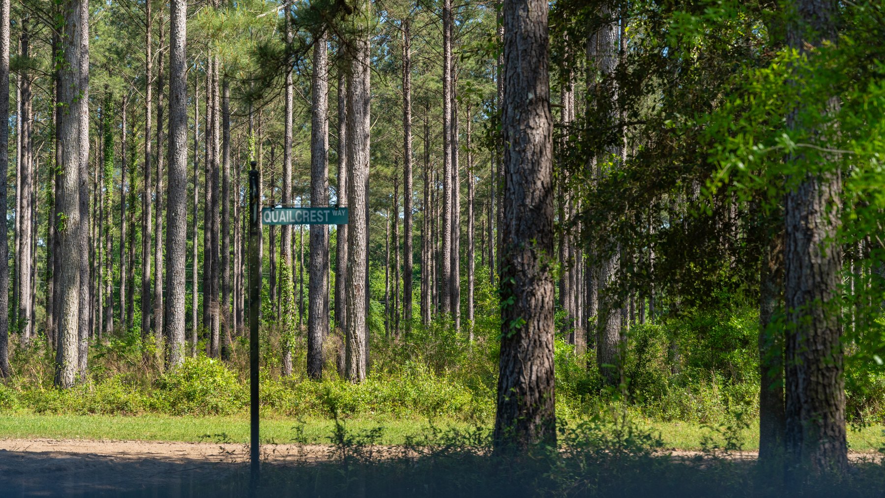 Image for 1,326 +/- Acres – Quail Crest Farms - Custom Lodge w/ Irrigated Acreage - Recreational Investment Opportunity