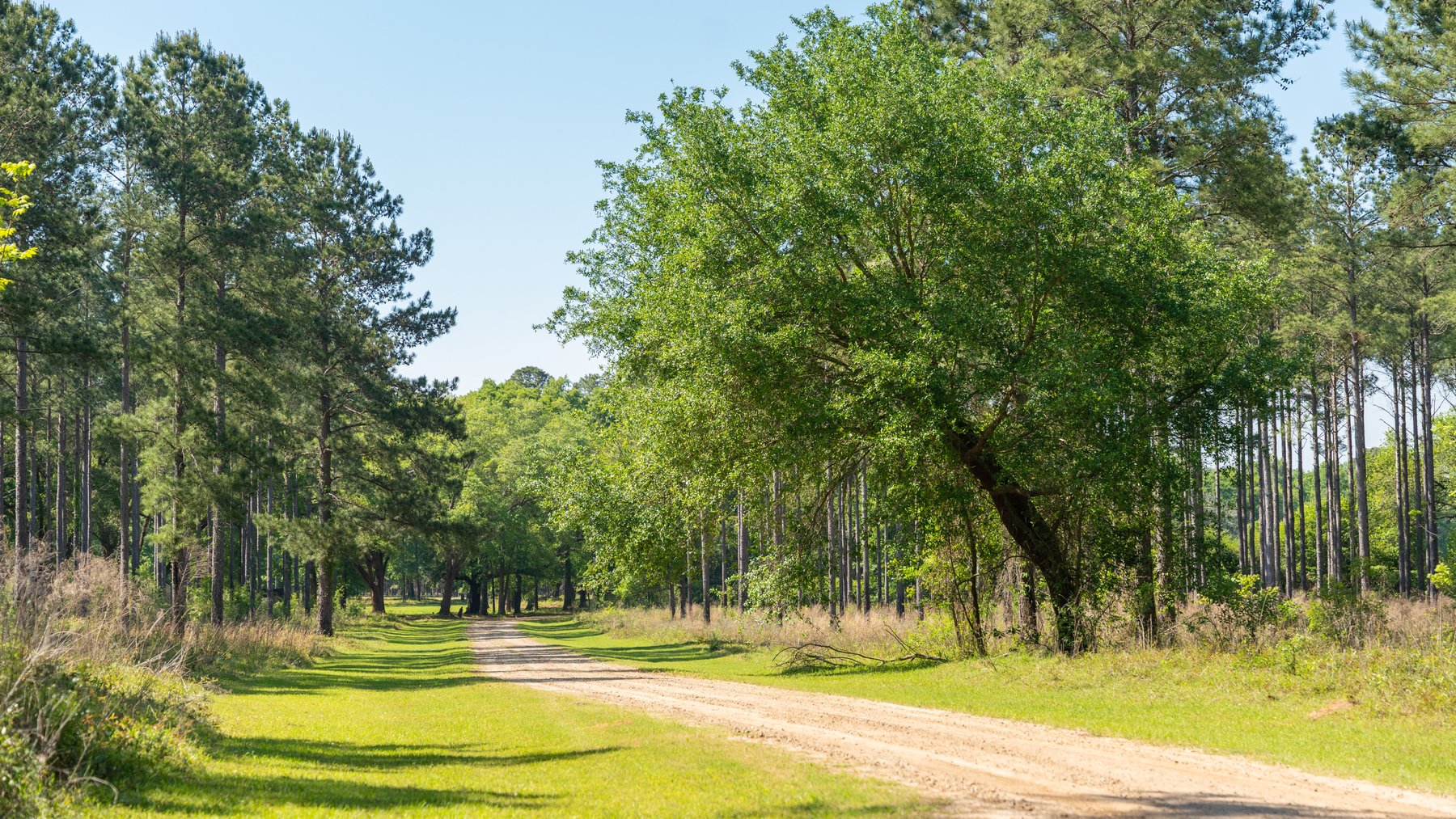 Image for 1,326 +/- Acres – Quail Crest Farms - Custom Lodge w/ Irrigated Acreage - Recreational Investment Opportunity