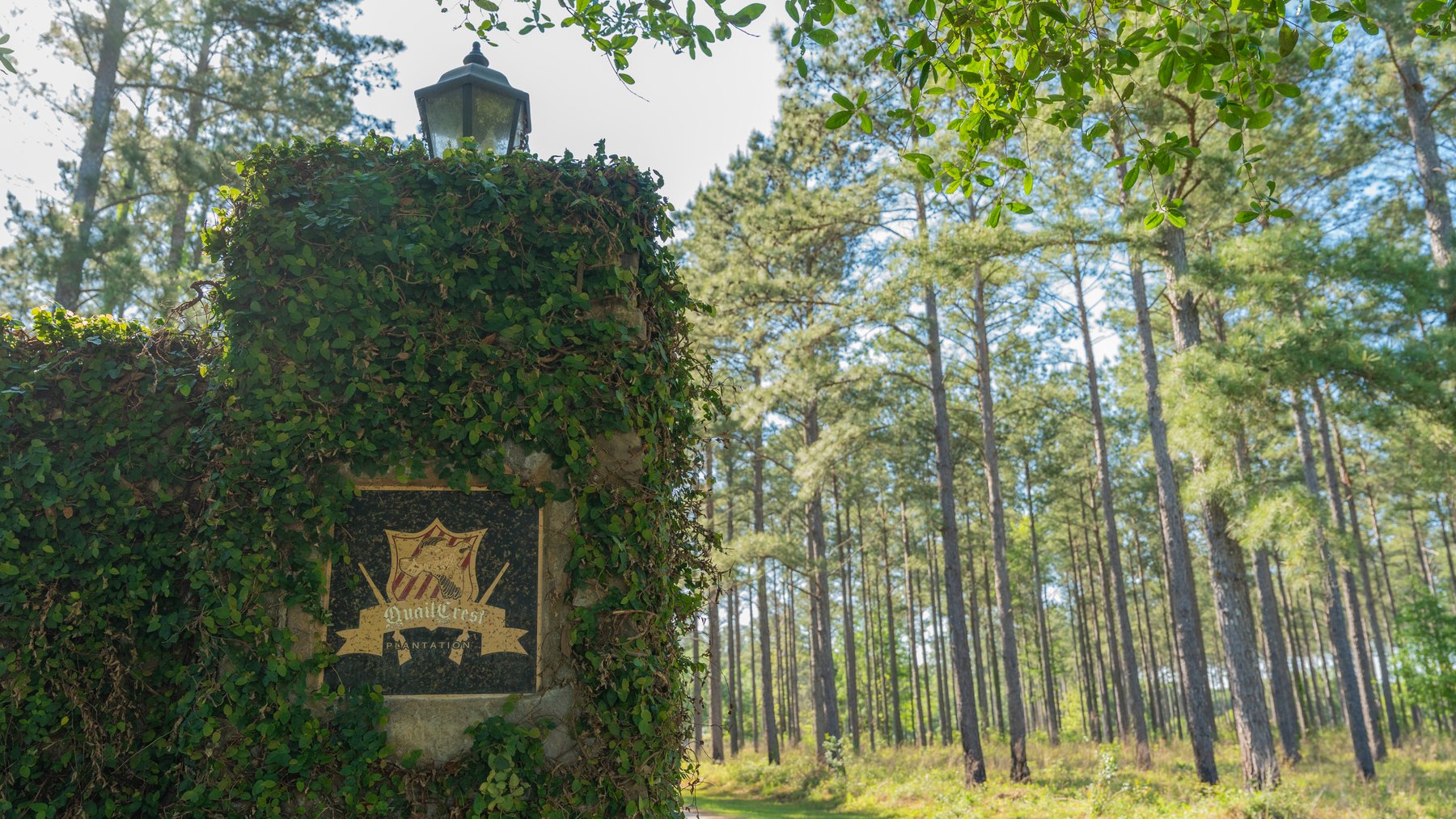 Image for 1,326 +/- Acres – Quail Crest Farms - Custom Lodge w/ Irrigated Acreage - Recreational Investment Opportunity