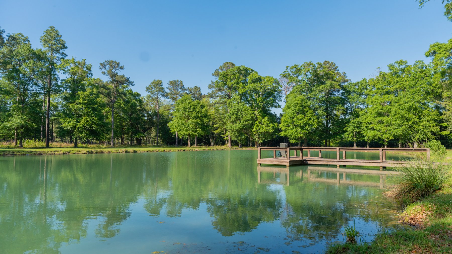 Image for 1,326 +/- Acres – Quail Crest Farms - Custom Lodge w/ Irrigated Acreage - Recreational Investment Opportunity