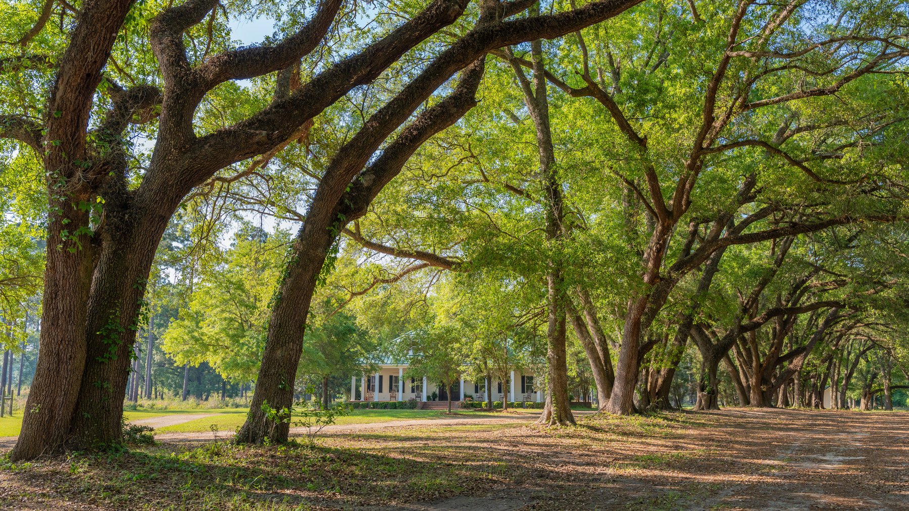 Image for 1,326 +/- Acres – Quail Crest Farms - Custom Lodge w/ Irrigated Acreage - Recreational Investment Opportunity