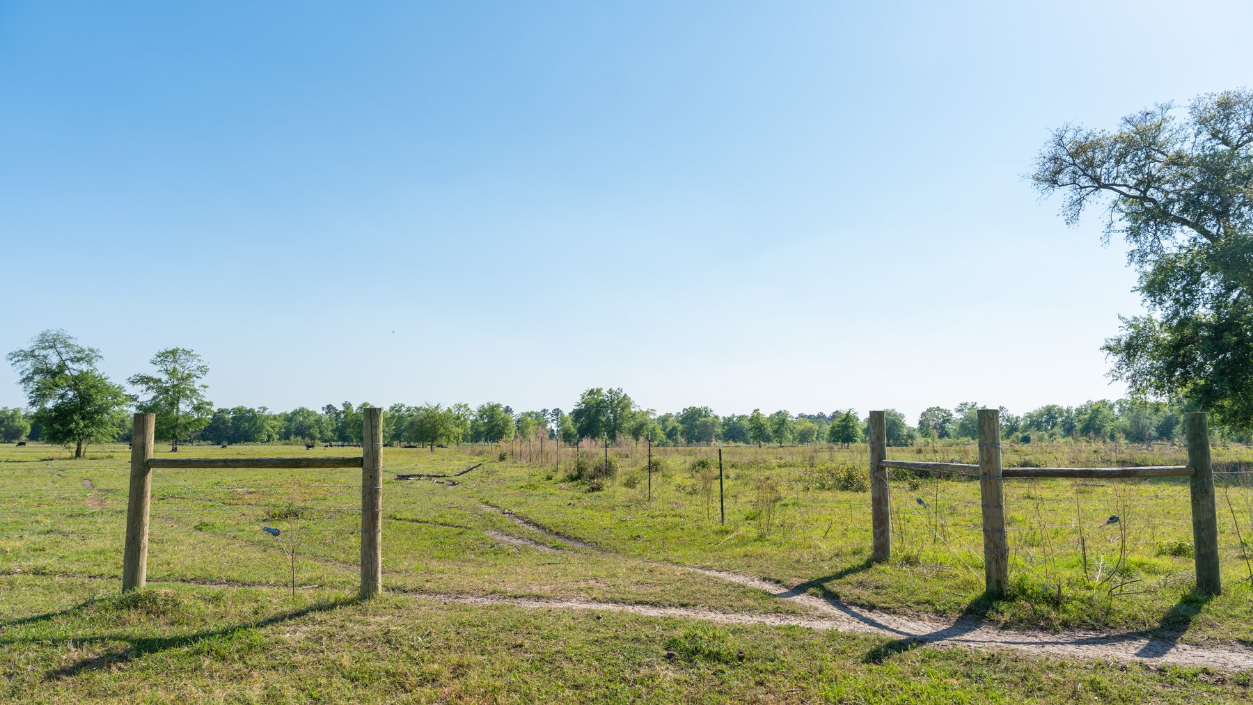 Image for 1,326 +/- Acres – Quail Crest Farms - Custom Lodge w/ Irrigated Acreage - Recreational Investment Opportunity