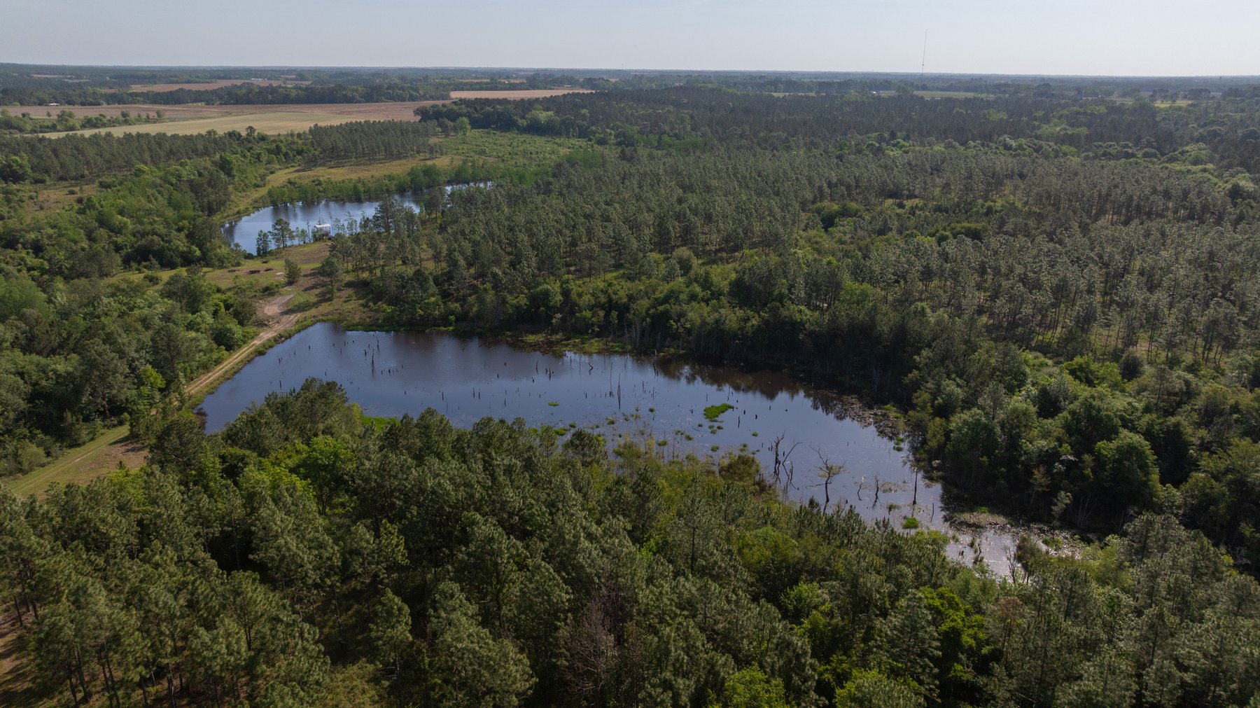 Image for 195+/- Total Acres - Premium Recreational Tract - Trophy Whitetails, Stocked Ponds & Plantation Pines