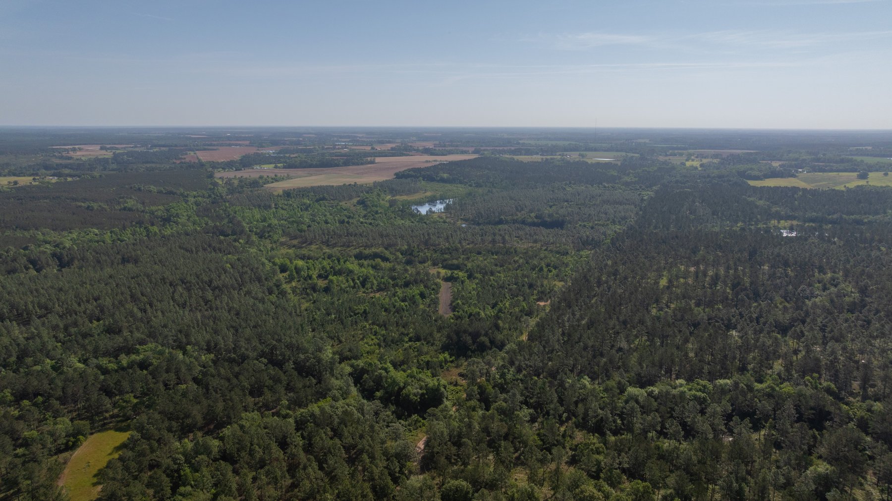 Image for 195+/- Total Acres - Premium Recreational Tract - Trophy Whitetails, Stocked Ponds & Plantation Pines