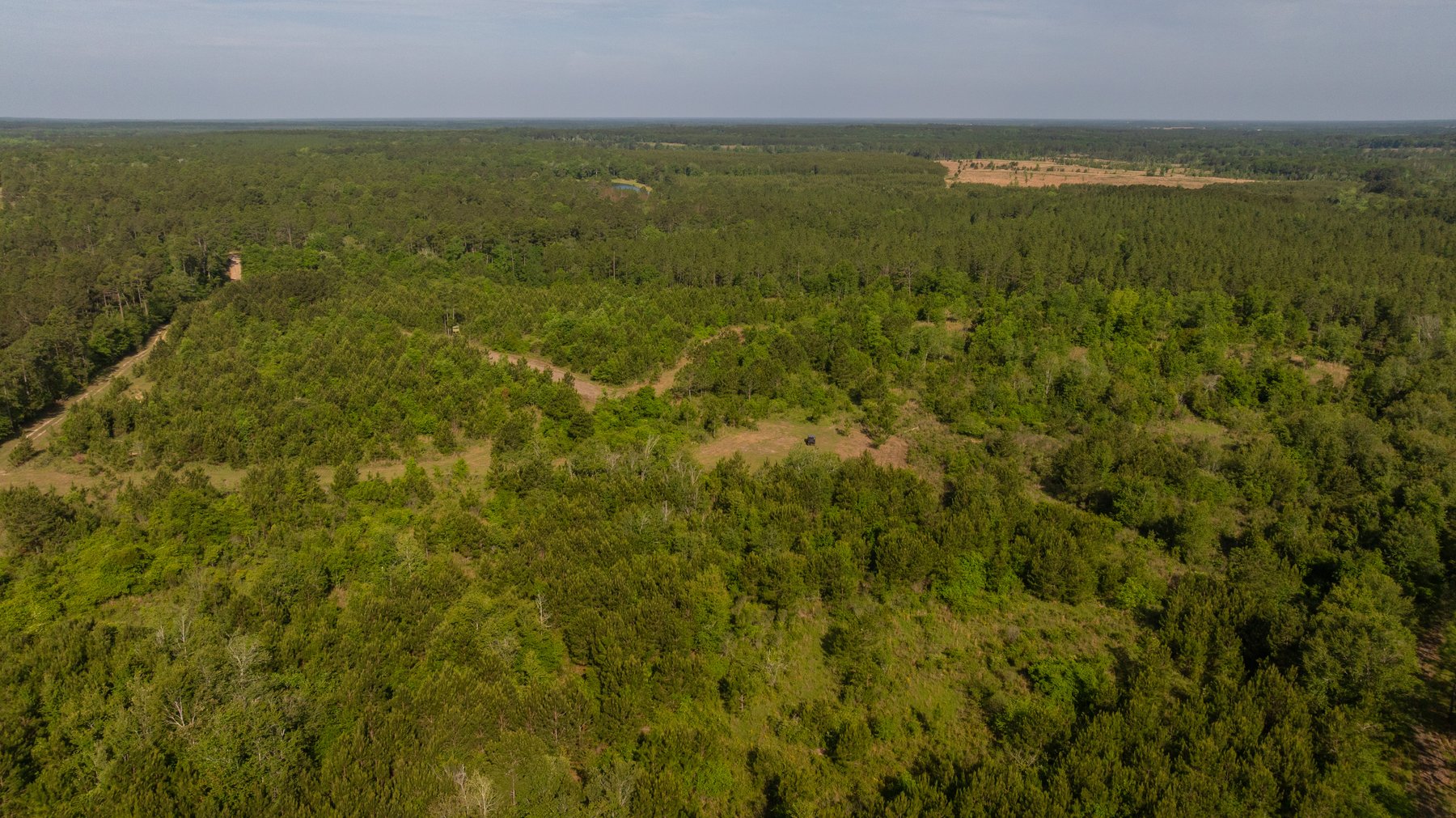 Image for 195+/- Total Acres - Premium Recreational Tract - Trophy Whitetails, Stocked Ponds & Plantation Pines