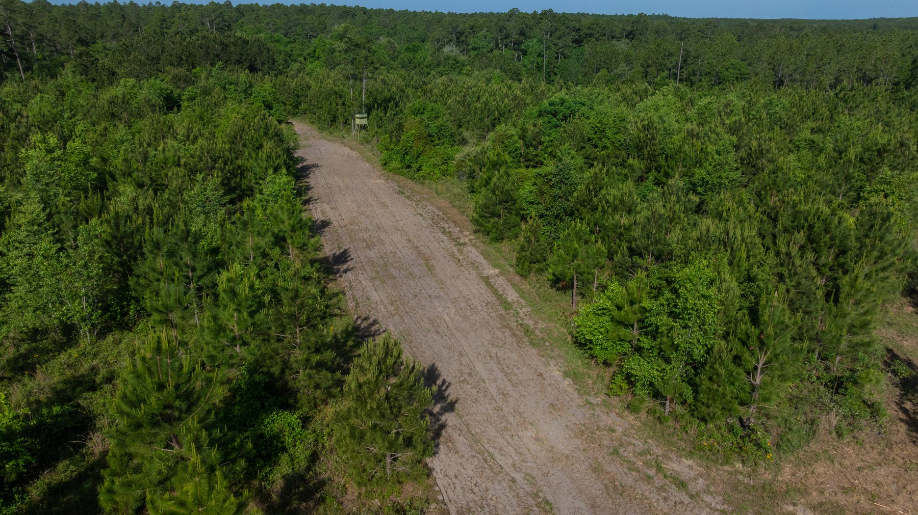 Image for 195+/- Total Acres - Premium Recreational Tract - Trophy Whitetails, Stocked Ponds & Plantation Pines