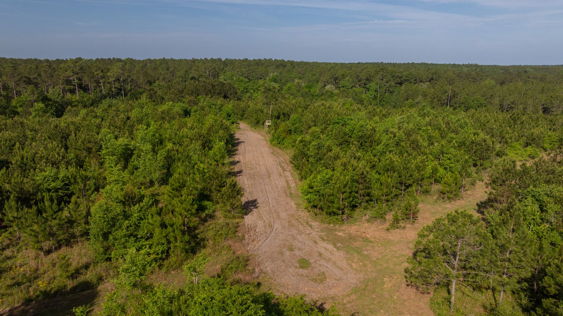 Image for 195+/- Total Acres - Premium Recreational Tract - Trophy Whitetails, Stocked Ponds & Plantation Pines