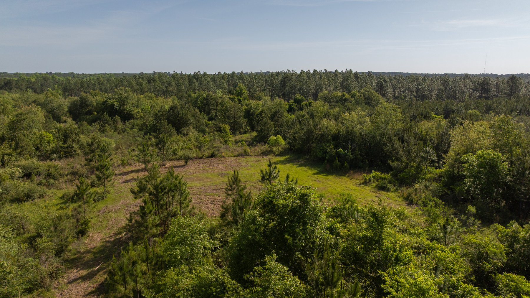 Image for 195+/- Total Acres - Premium Recreational Tract - Trophy Whitetails, Stocked Ponds & Plantation Pines