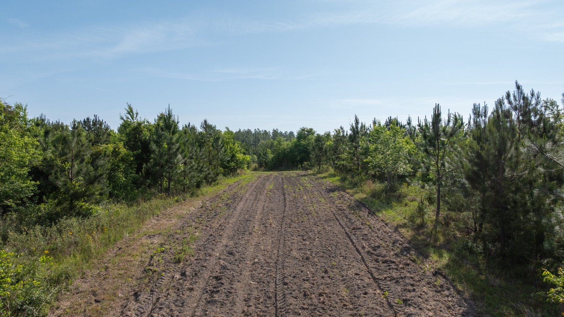 Image for 195+/- Total Acres - Premium Recreational Tract - Trophy Whitetails, Stocked Ponds & Plantation Pines