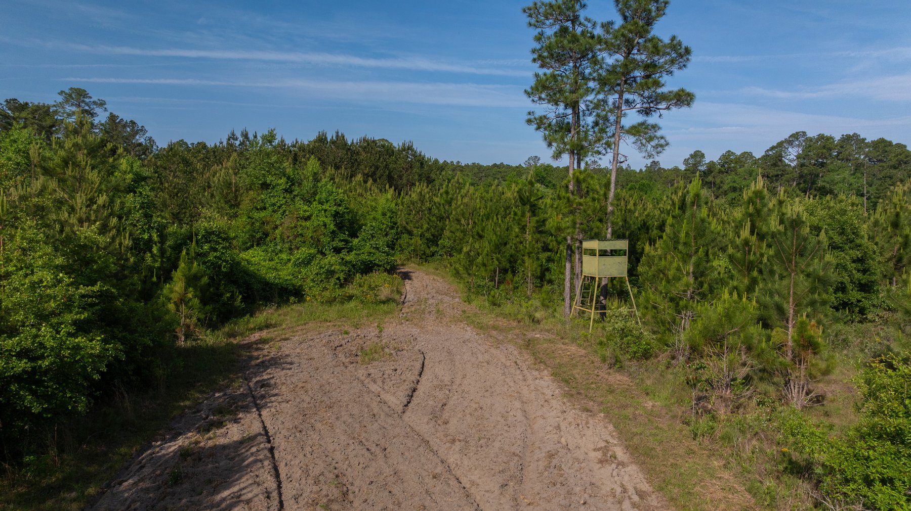 Image for 195+/- Total Acres - Premium Recreational Tract - Trophy Whitetails, Stocked Ponds & Plantation Pines