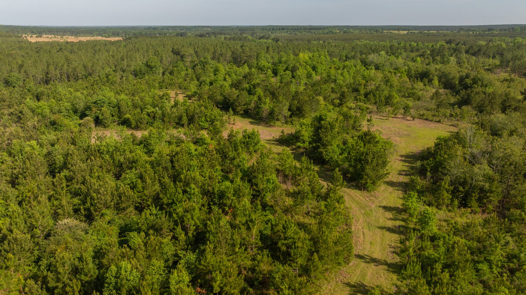 Image for 195+/- Total Acres - Premium Recreational Tract - Trophy Whitetails, Stocked Ponds & Plantation Pines