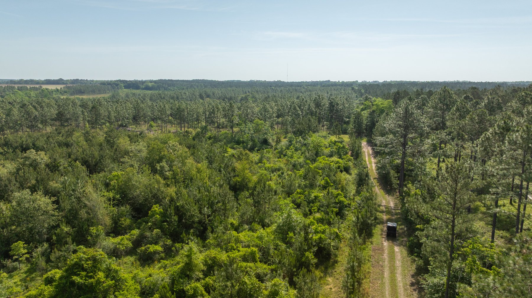 Image for 195+/- Total Acres - Premium Recreational Tract - Trophy Whitetails, Stocked Ponds & Plantation Pines