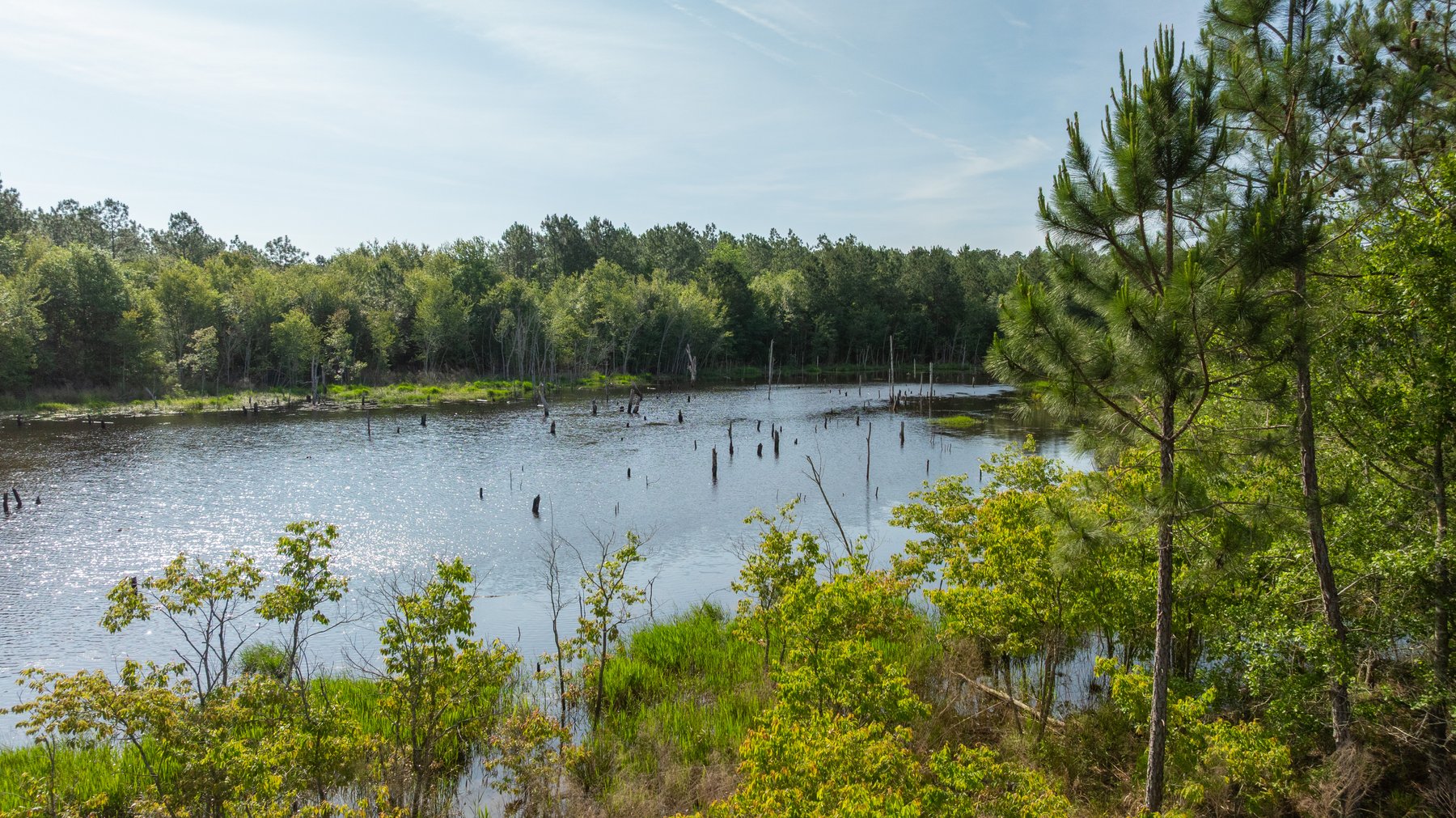 Image for 195+/- Total Acres - Premium Recreational Tract - Trophy Whitetails, Stocked Ponds & Plantation Pines