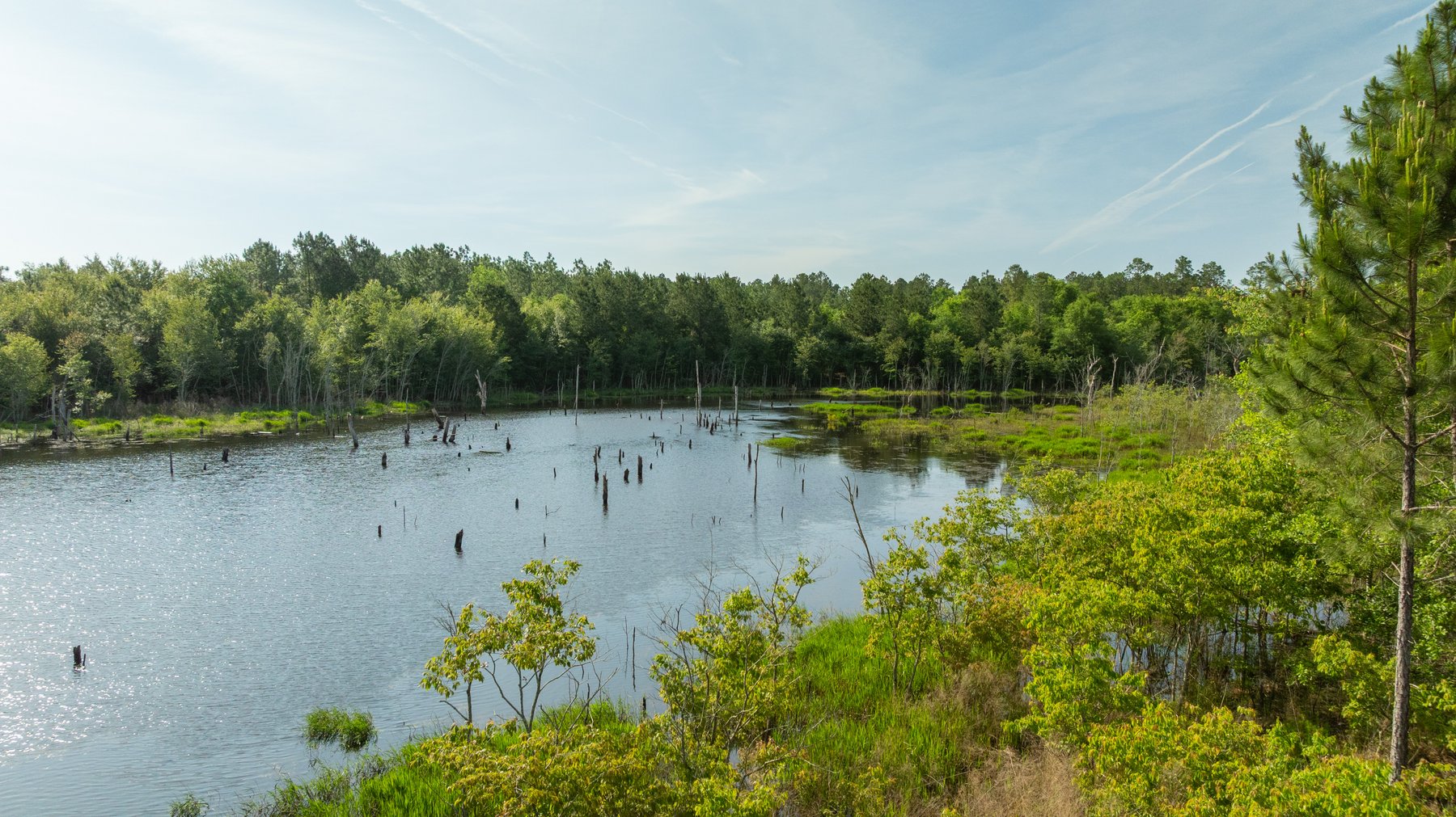 Image for 195+/- Total Acres - Premium Recreational Tract - Trophy Whitetails, Stocked Ponds & Plantation Pines