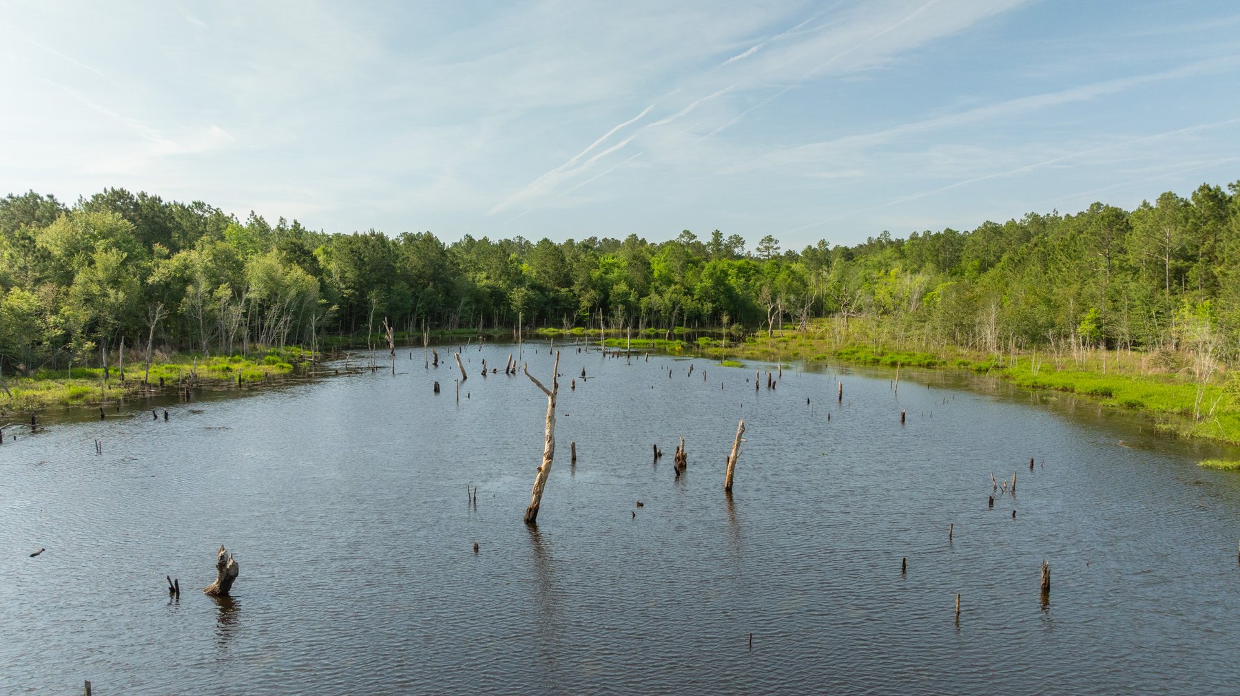 Image for 195+/- Total Acres - Premium Recreational Tract - Trophy Whitetails, Stocked Ponds & Plantation Pines