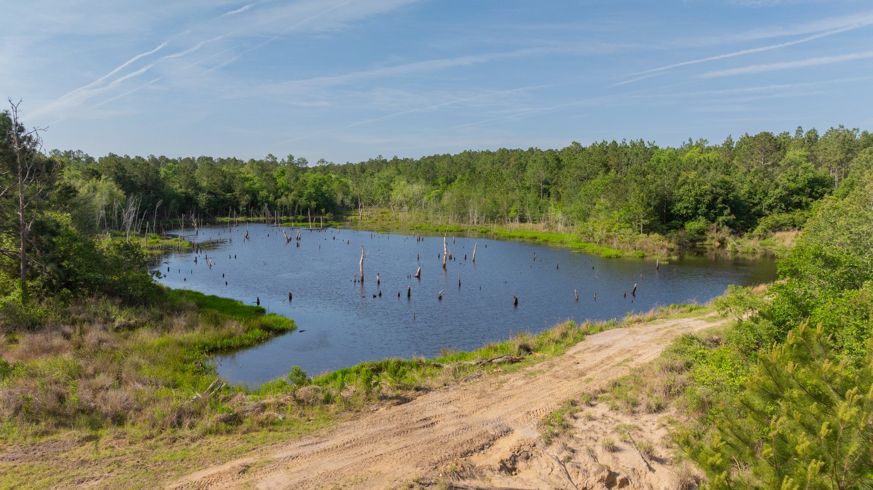 Image for 195+/- Total Acres - Premium Recreational Tract - Trophy Whitetails, Stocked Ponds & Plantation Pines