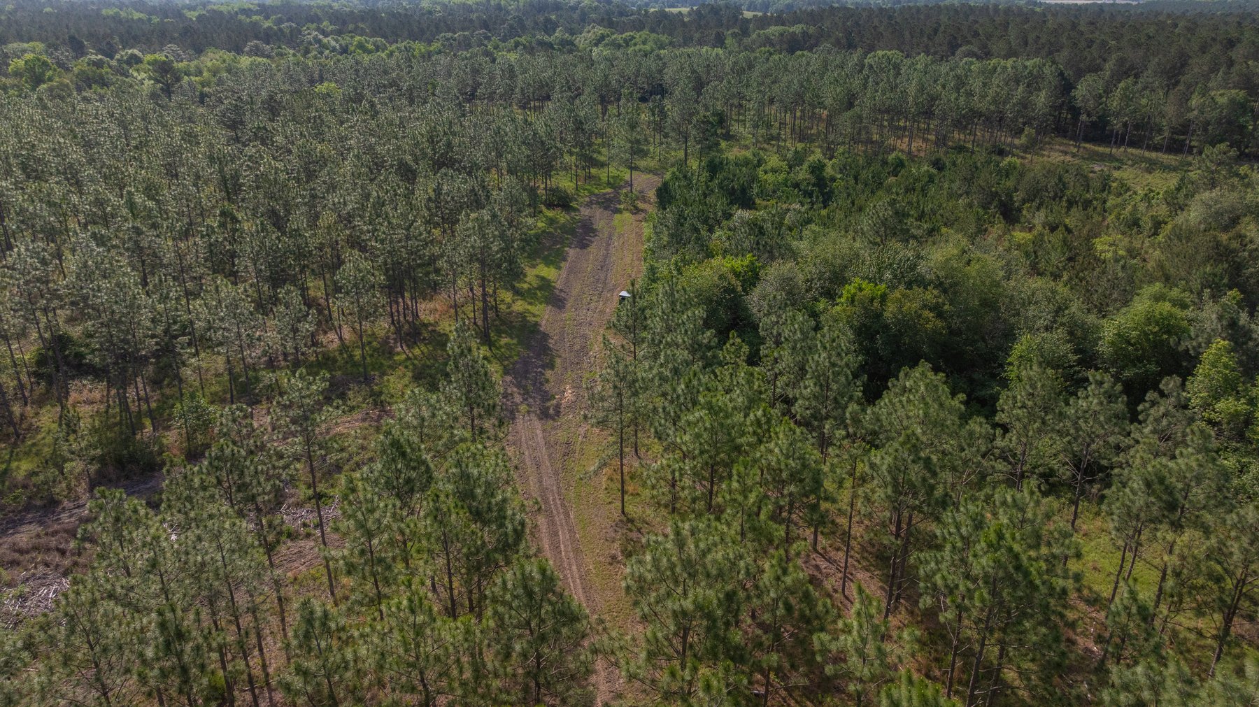 Image for 195+/- Total Acres - Premium Recreational Tract - Trophy Whitetails, Stocked Ponds & Plantation Pines