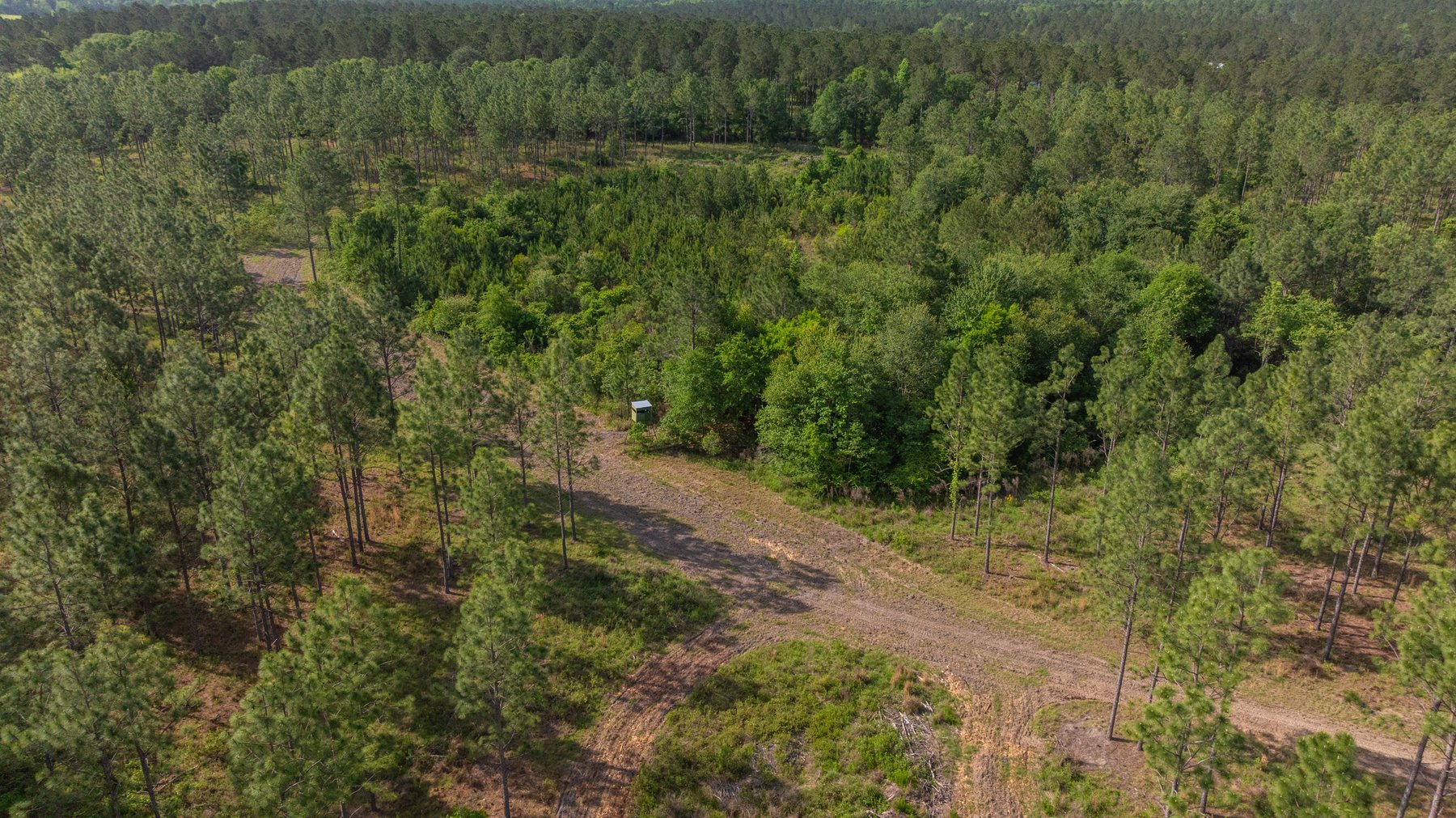 Image for 195+/- Total Acres - Premium Recreational Tract - Trophy Whitetails, Stocked Ponds & Plantation Pines