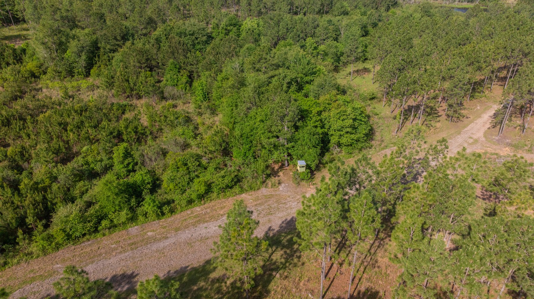 Image for 195+/- Total Acres - Premium Recreational Tract - Trophy Whitetails, Stocked Ponds & Plantation Pines