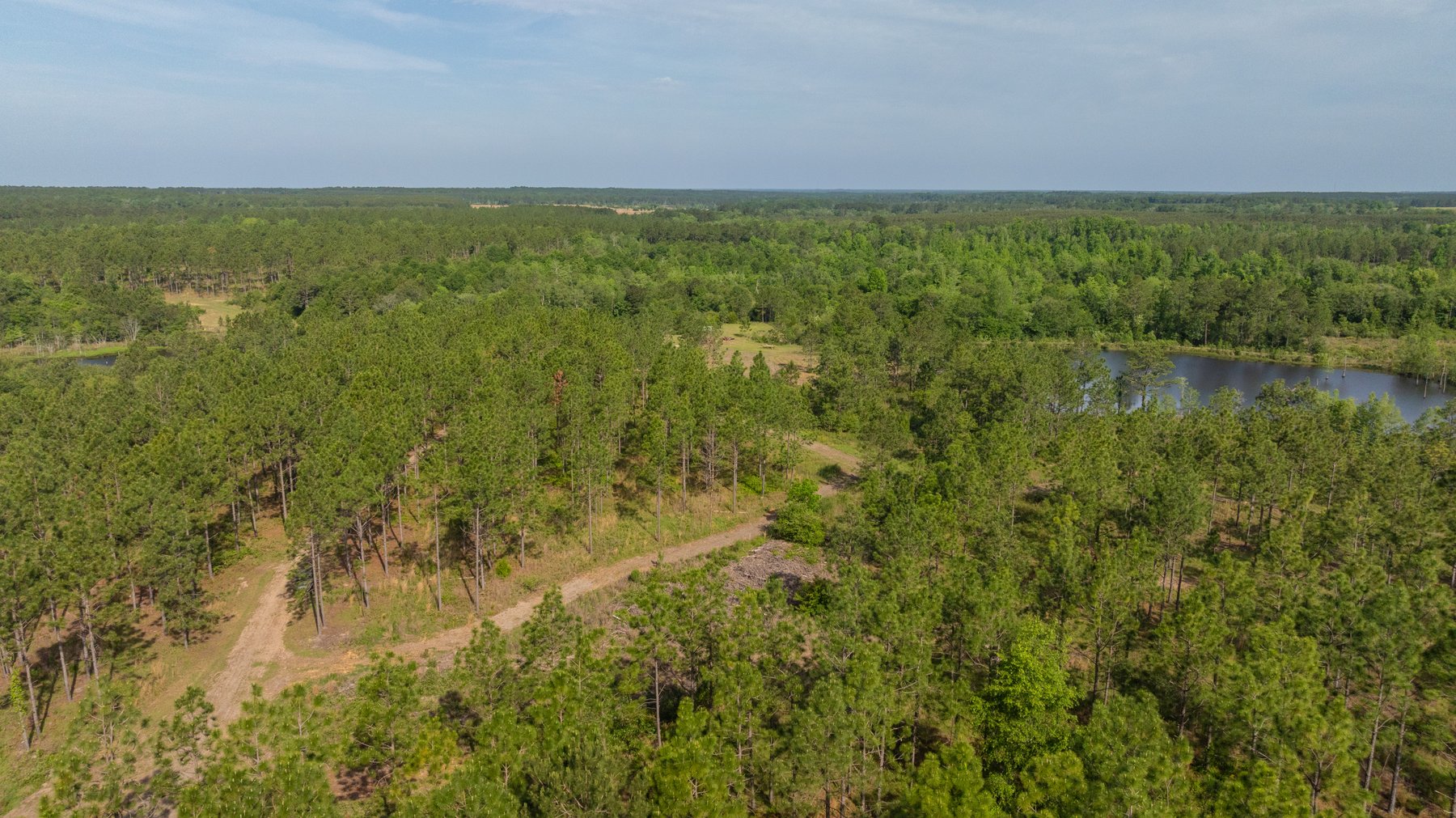Image for 195+/- Total Acres - Premium Recreational Tract - Trophy Whitetails, Stocked Ponds & Plantation Pines