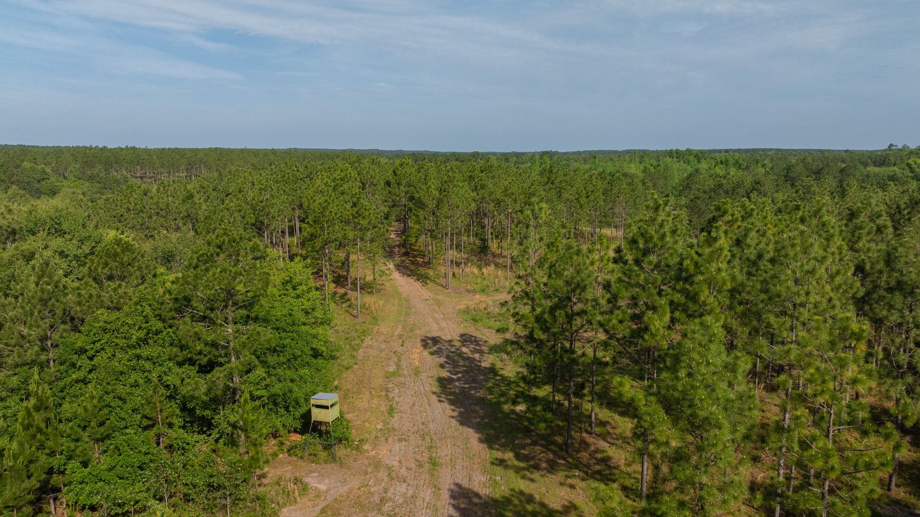 Image for 195+/- Total Acres - Premium Recreational Tract - Trophy Whitetails, Stocked Ponds & Plantation Pines