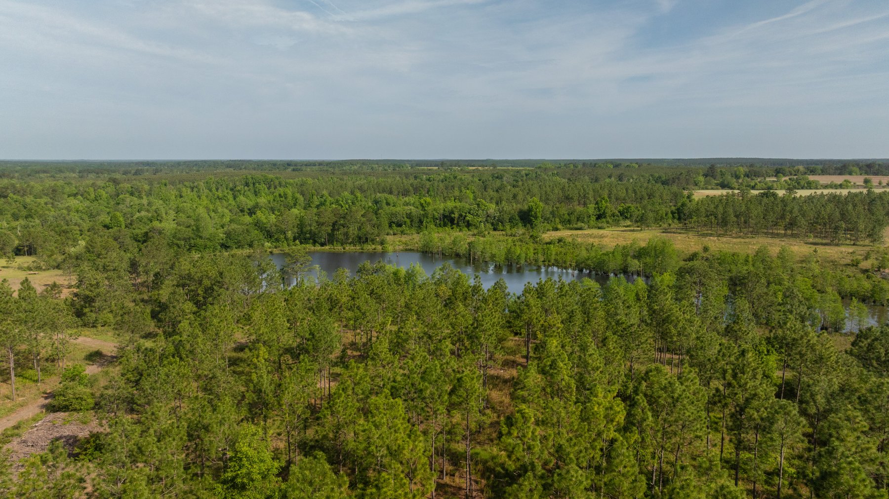 Image for 195+/- Total Acres - Premium Recreational Tract - Trophy Whitetails, Stocked Ponds & Plantation Pines