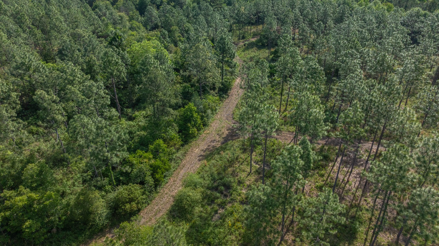 Image for 195+/- Total Acres - Premium Recreational Tract - Trophy Whitetails, Stocked Ponds & Plantation Pines