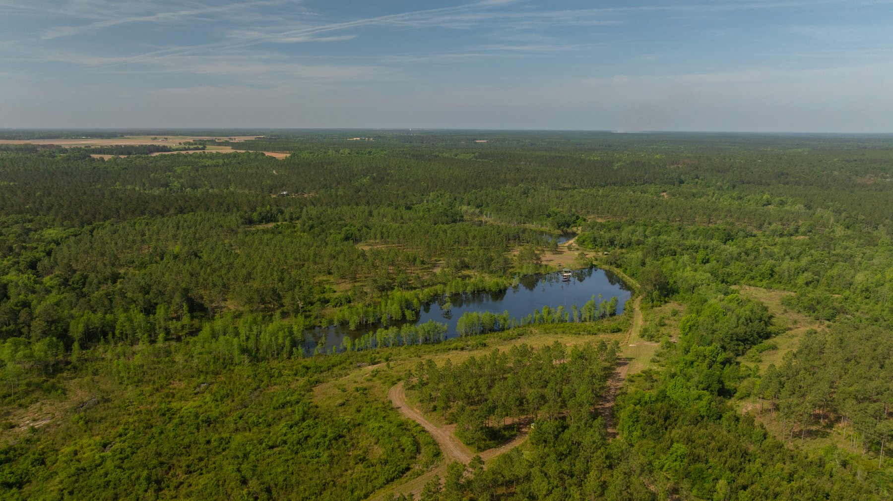 Image for 195+/- Total Acres - Premium Recreational Tract - Trophy Whitetails, Stocked Ponds & Plantation Pines