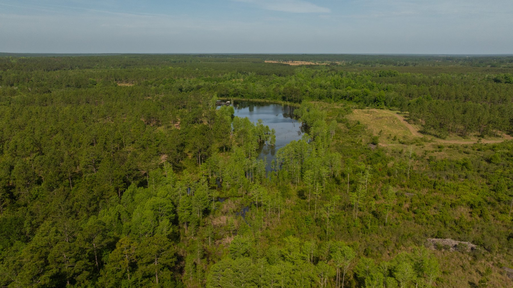 Image for 195+/- Total Acres - Premium Recreational Tract - Trophy Whitetails, Stocked Ponds & Plantation Pines