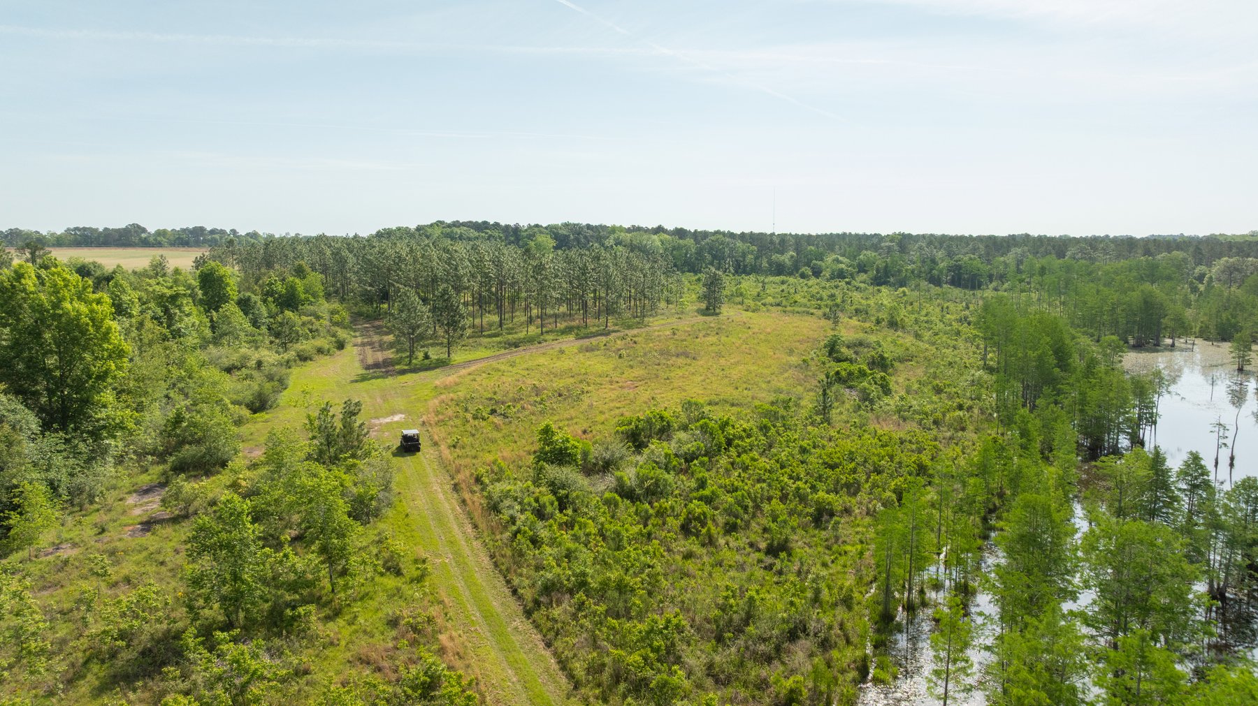 Image for 195+/- Total Acres - Premium Recreational Tract - Trophy Whitetails, Stocked Ponds & Plantation Pines