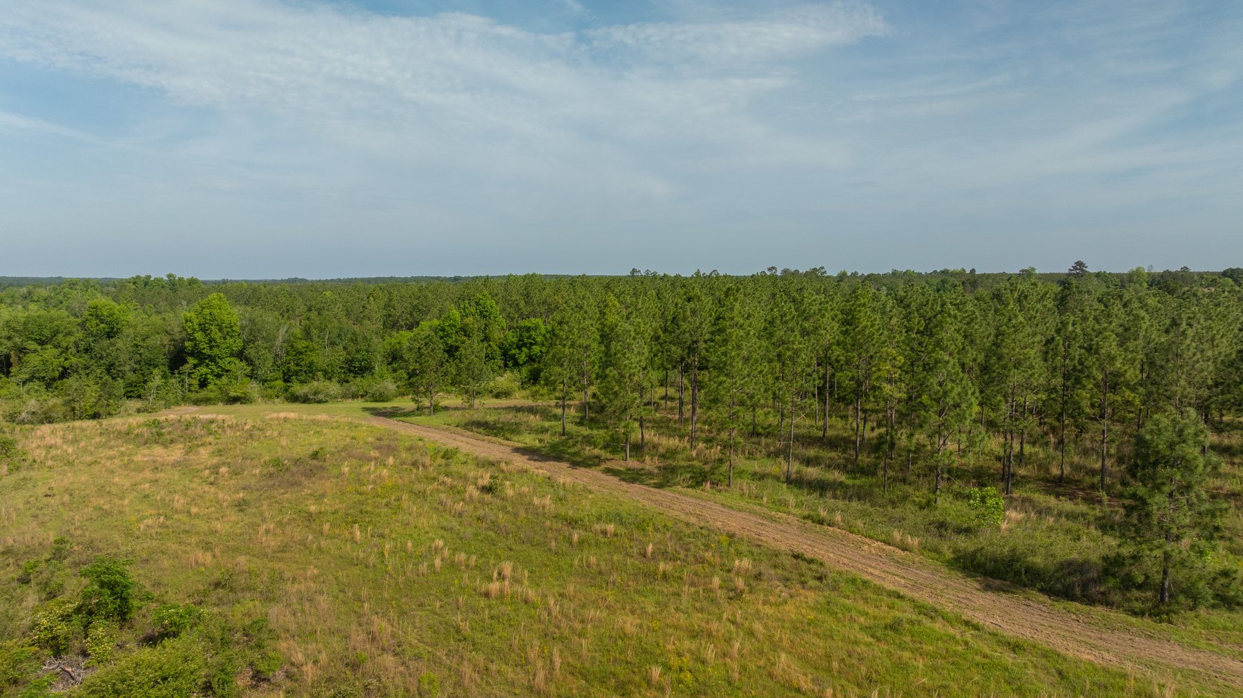 Image for 195+/- Total Acres - Premium Recreational Tract - Trophy Whitetails, Stocked Ponds & Plantation Pines