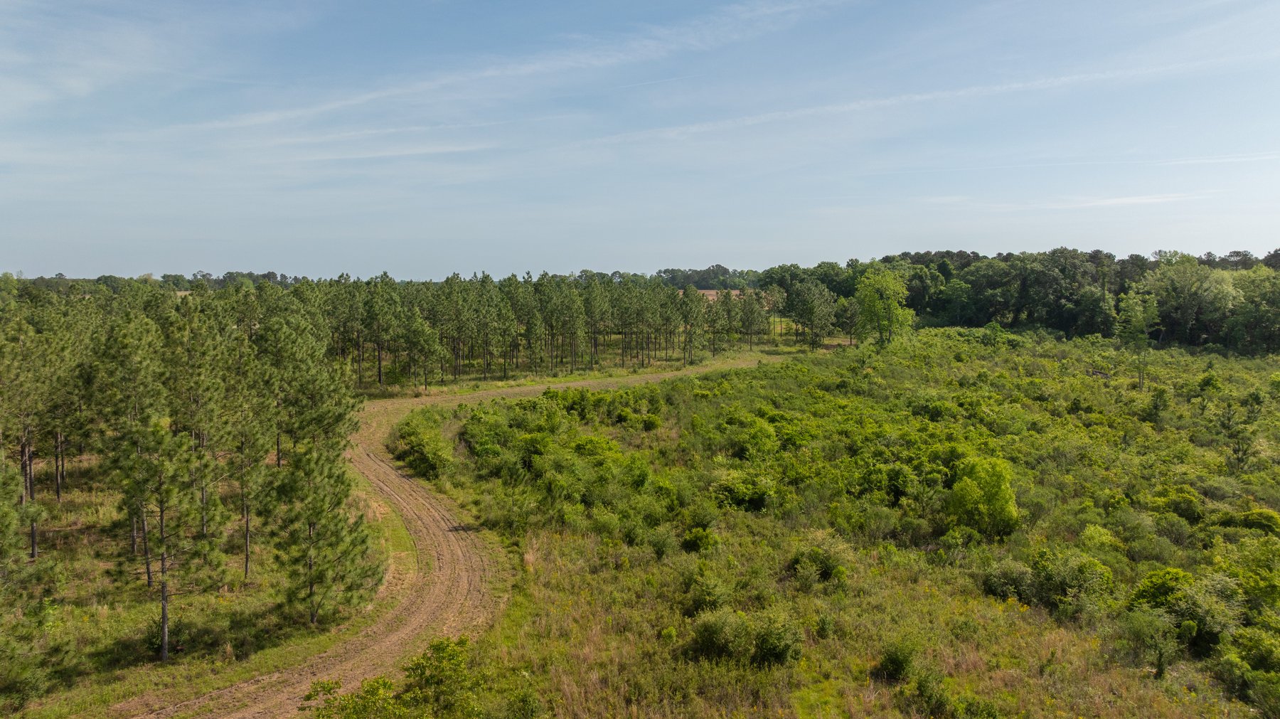 Image for 195+/- Total Acres - Premium Recreational Tract - Trophy Whitetails, Stocked Ponds & Plantation Pines