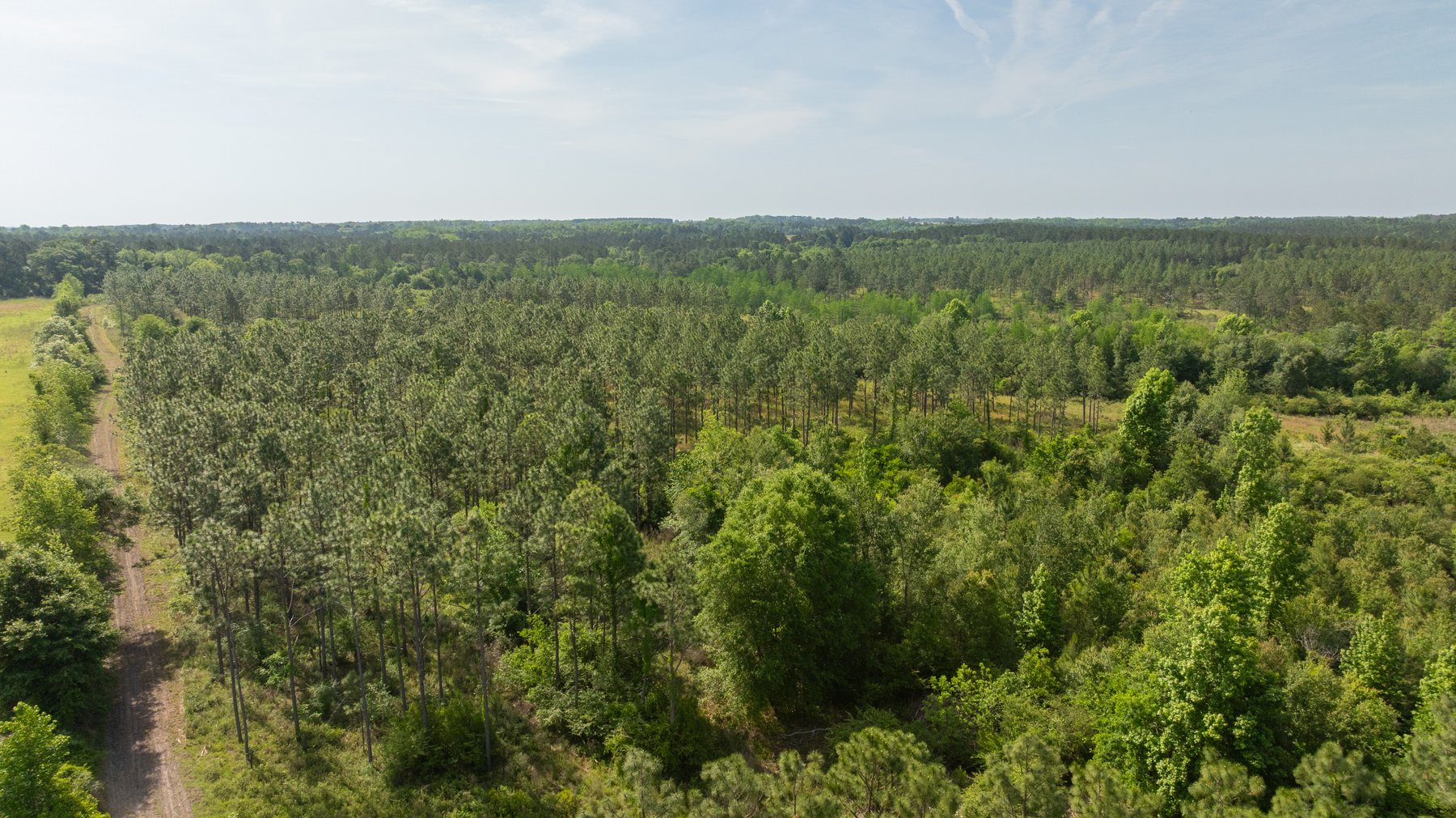 Image for 195+/- Total Acres - Premium Recreational Tract - Trophy Whitetails, Stocked Ponds & Plantation Pines