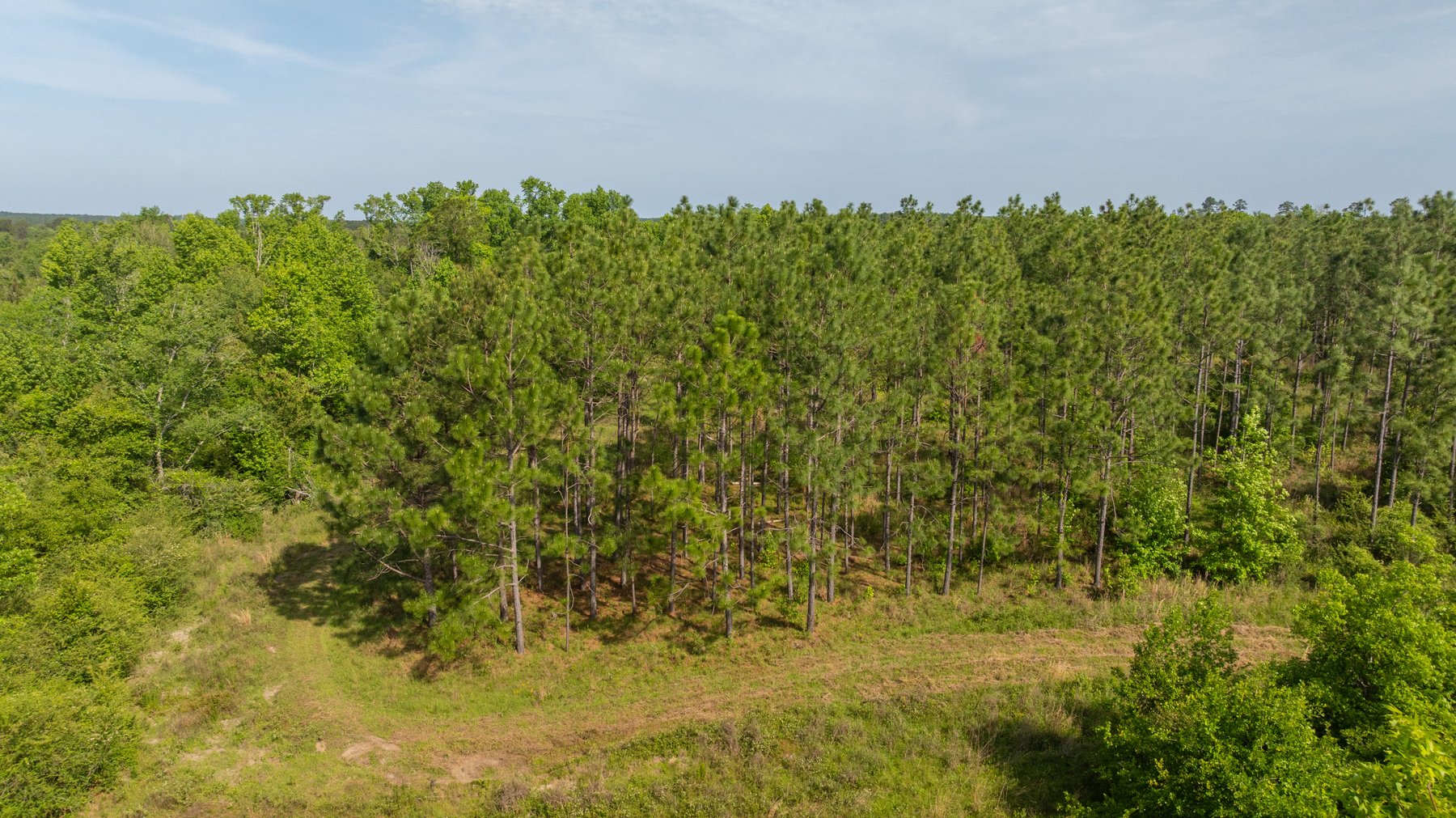 Image for 195+/- Total Acres - Premium Recreational Tract - Trophy Whitetails, Stocked Ponds & Plantation Pines