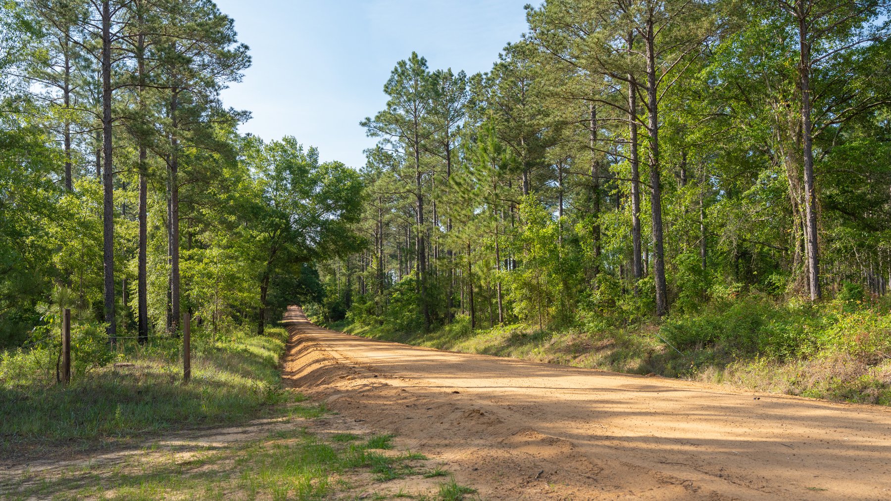 Image for 195+/- Total Acres - Premium Recreational Tract - Trophy Whitetails, Stocked Ponds & Plantation Pines