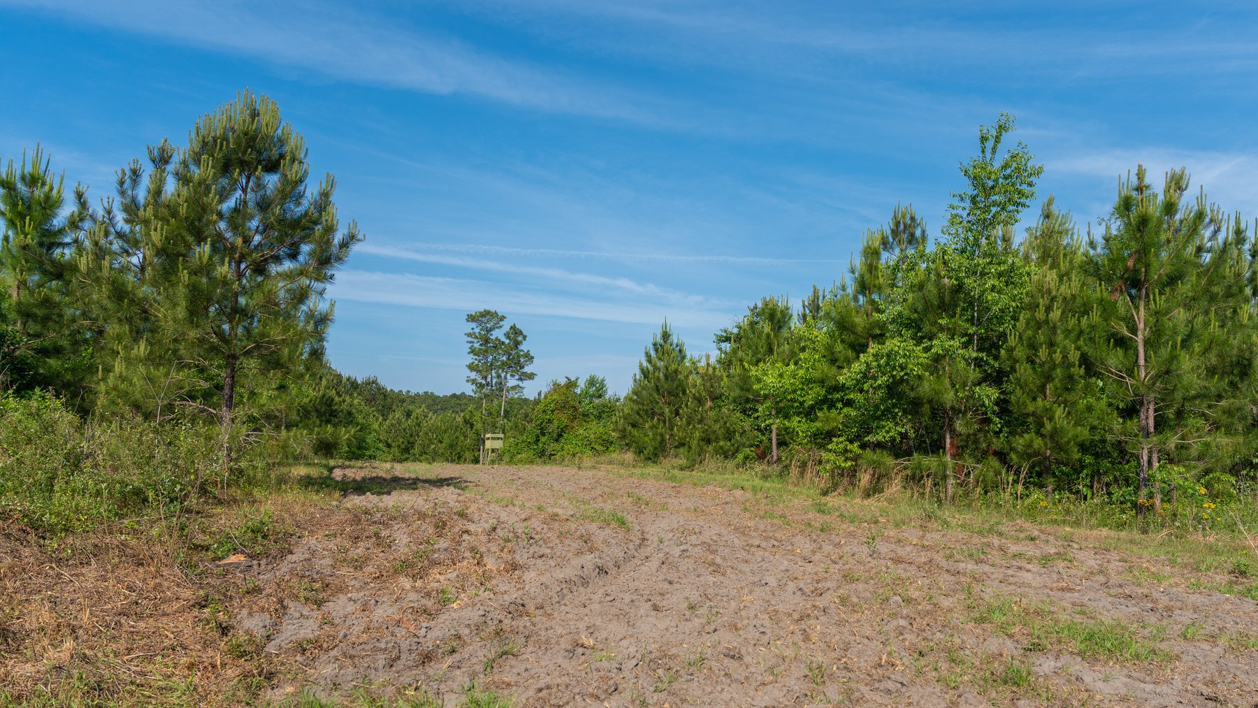 Image for 195+/- Total Acres - Premium Recreational Tract - Trophy Whitetails, Stocked Ponds & Plantation Pines