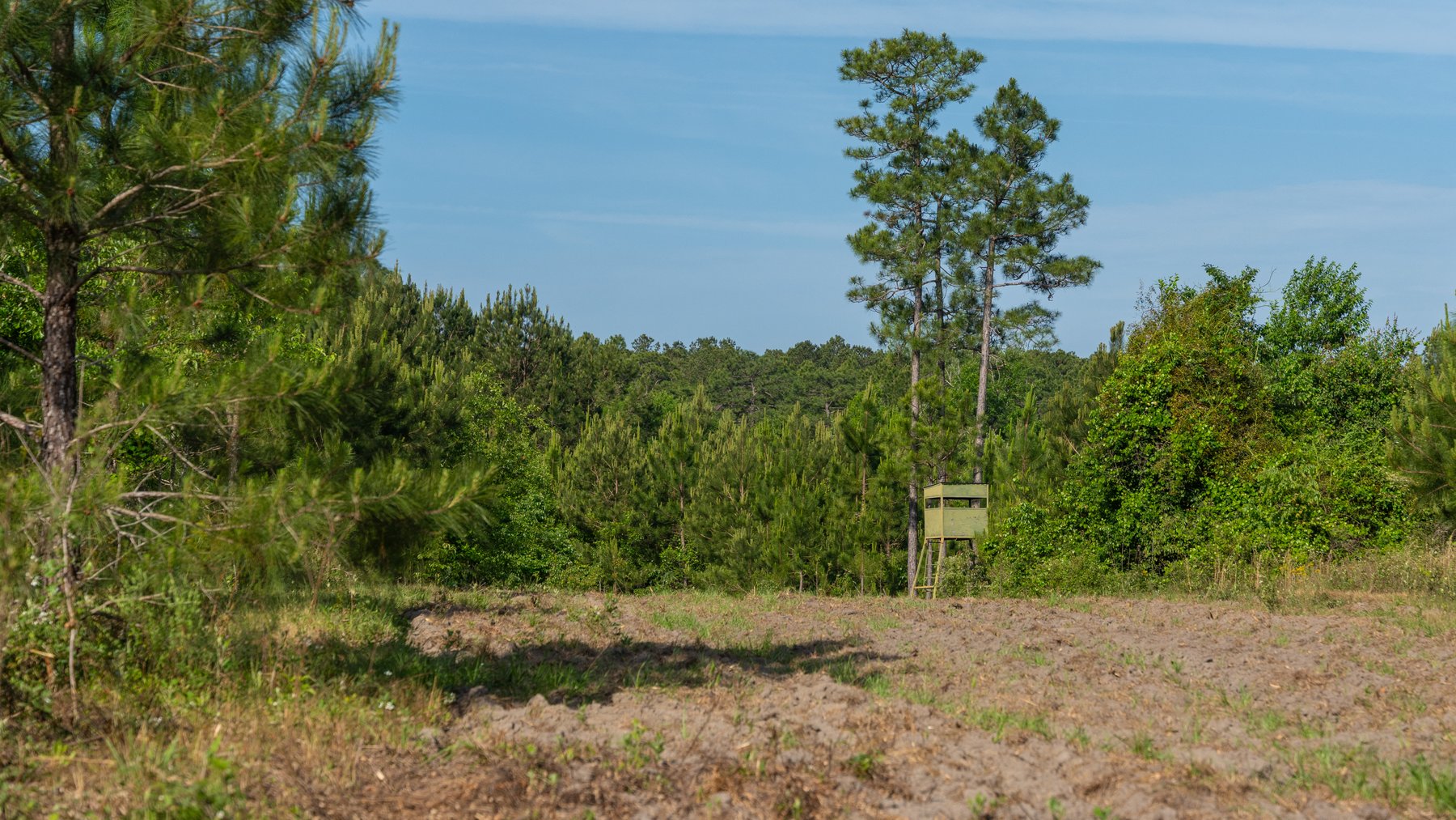 Image for 195+/- Total Acres - Premium Recreational Tract - Trophy Whitetails, Stocked Ponds & Plantation Pines