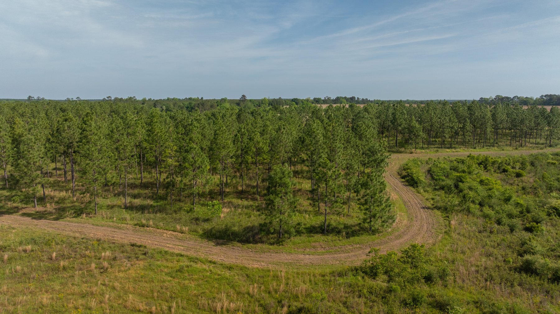Image for 195+/- Total Acres - Premium Recreational Tract - Trophy Whitetails, Stocked Ponds & Plantation Pines