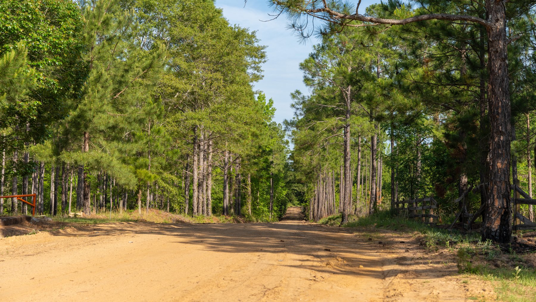Image for 195+/- Total Acres - Premium Recreational Tract - Trophy Whitetails, Stocked Ponds & Plantation Pines