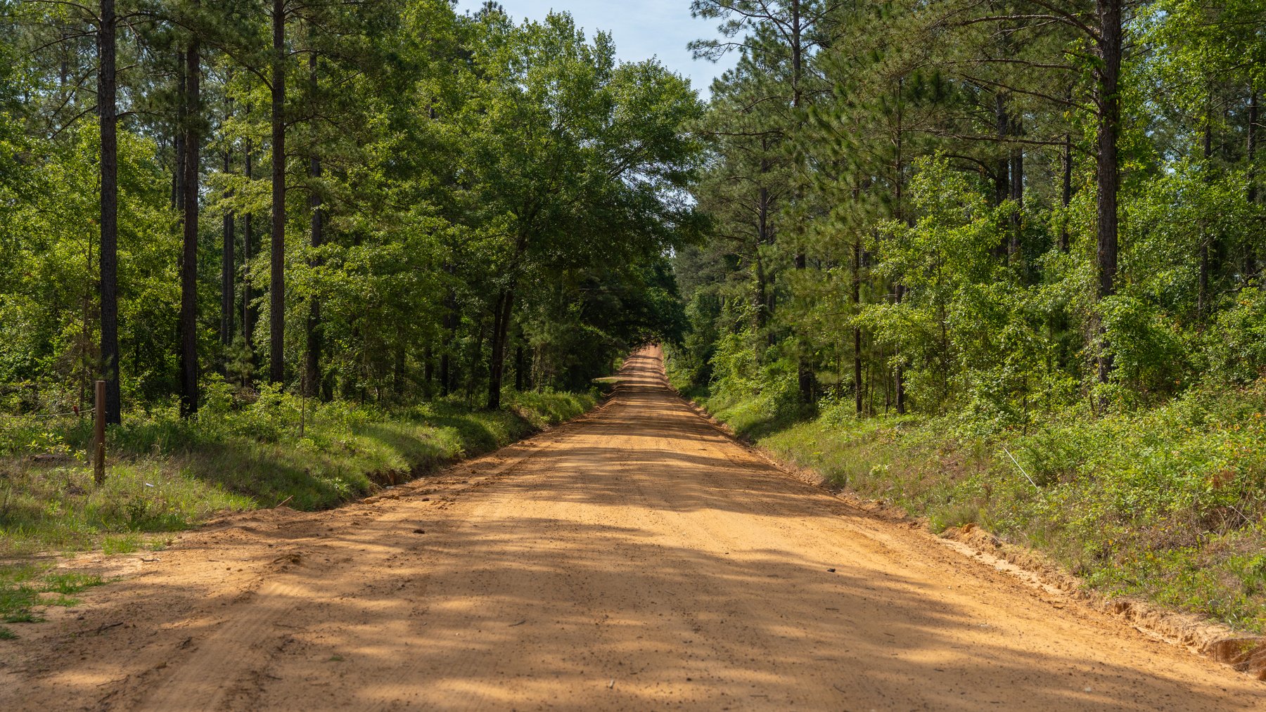 Image for 195+/- Total Acres - Premium Recreational Tract - Trophy Whitetails, Stocked Ponds & Plantation Pines