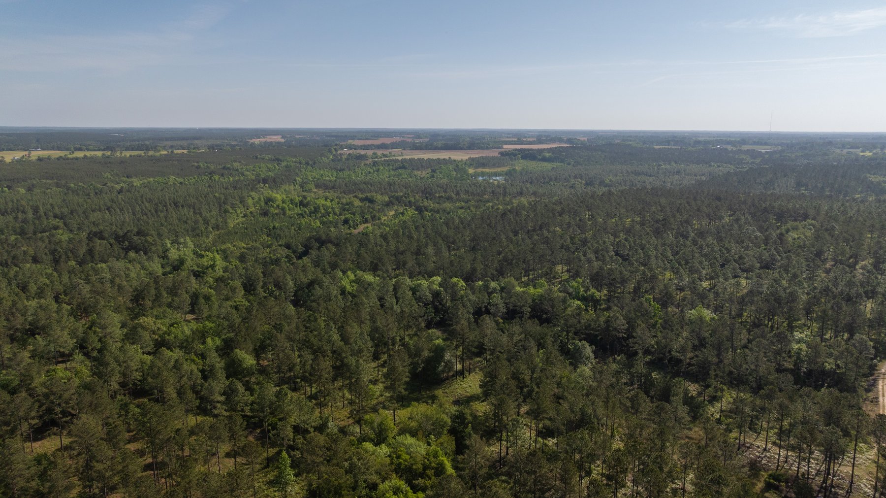 Image for 195+/- Total Acres - Premium Recreational Tract - Trophy Whitetails, Stocked Ponds & Plantation Pines