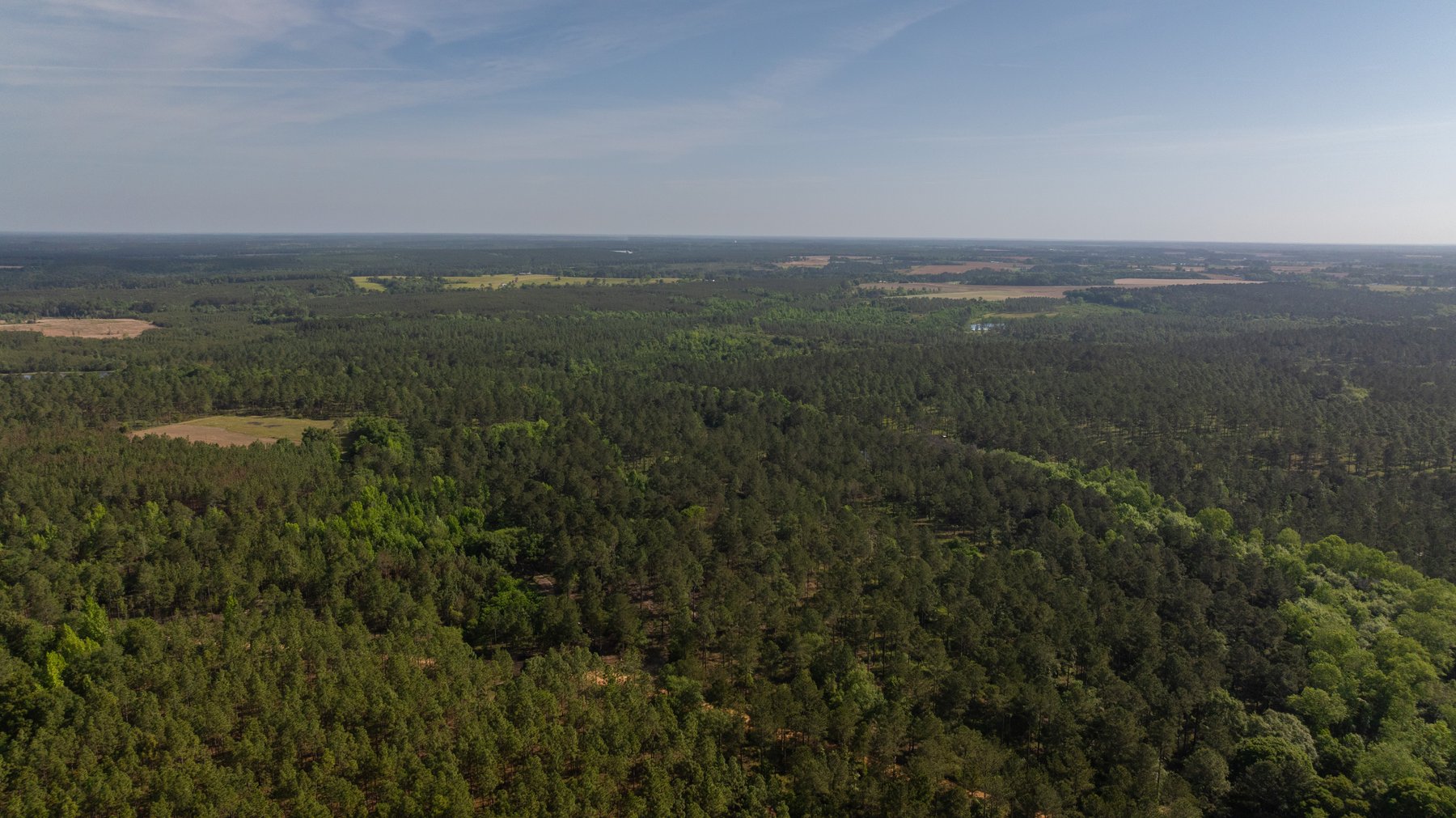 Image for 195+/- Total Acres - Premium Recreational Tract - Trophy Whitetails, Stocked Ponds & Plantation Pines