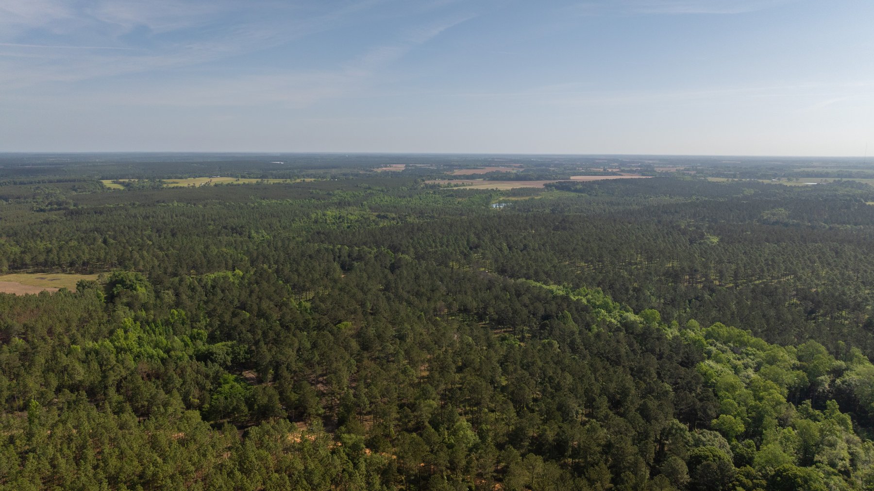 Image for 195+/- Total Acres - Premium Recreational Tract - Trophy Whitetails, Stocked Ponds & Plantation Pines