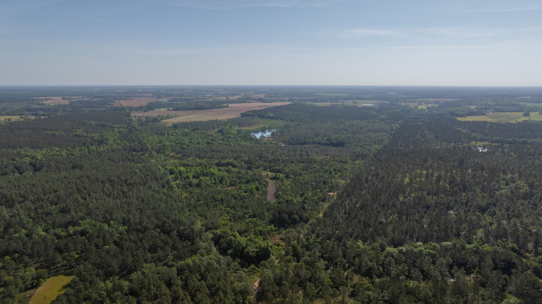Image for 195+/- Total Acres - Premium Recreational Tract - Trophy Whitetails, Stocked Ponds & Plantation Pines