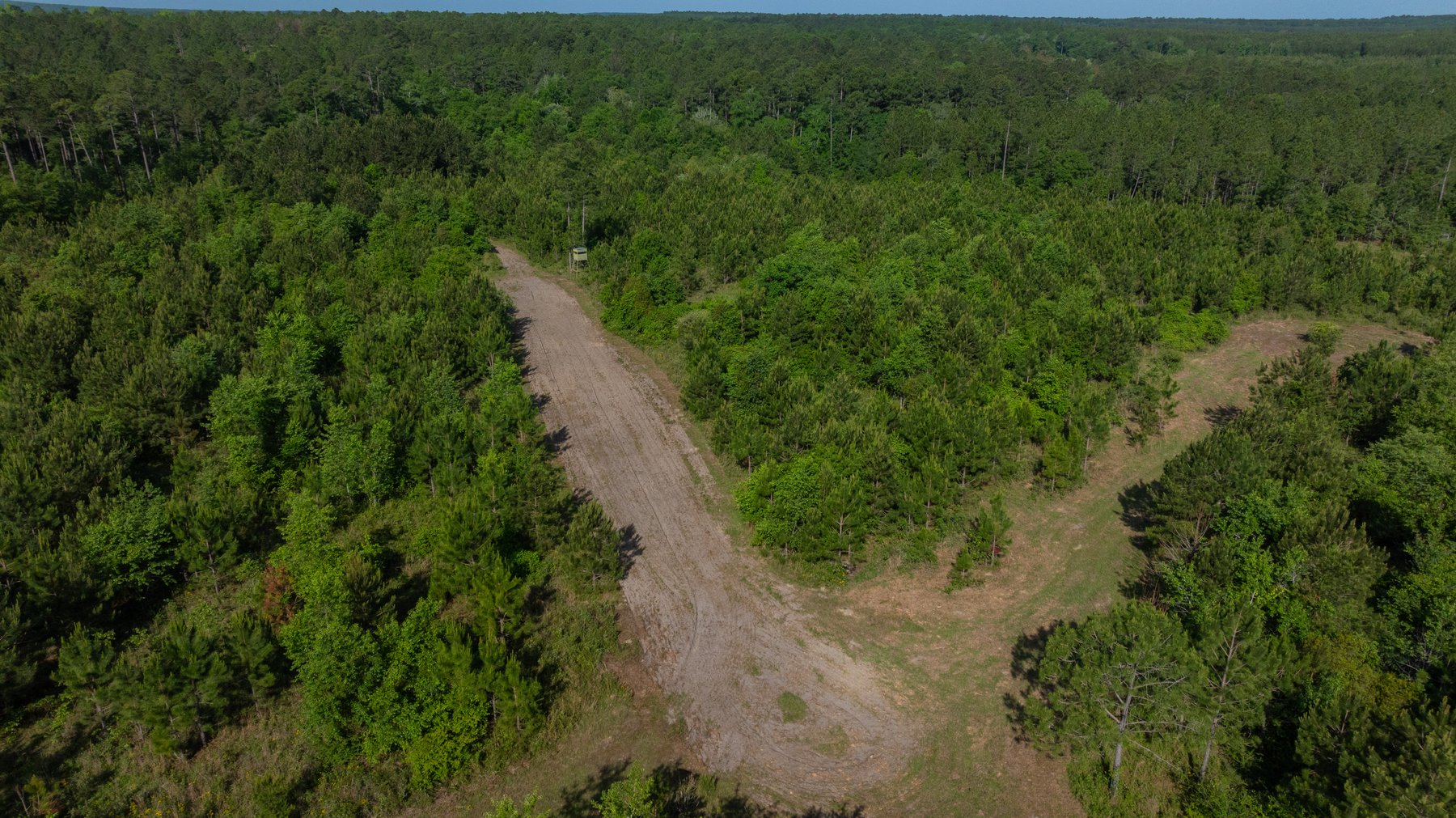 Image for 195+/- Total Acres - Premium Recreational Tract - Trophy Whitetails, Stocked Ponds & Plantation Pines
