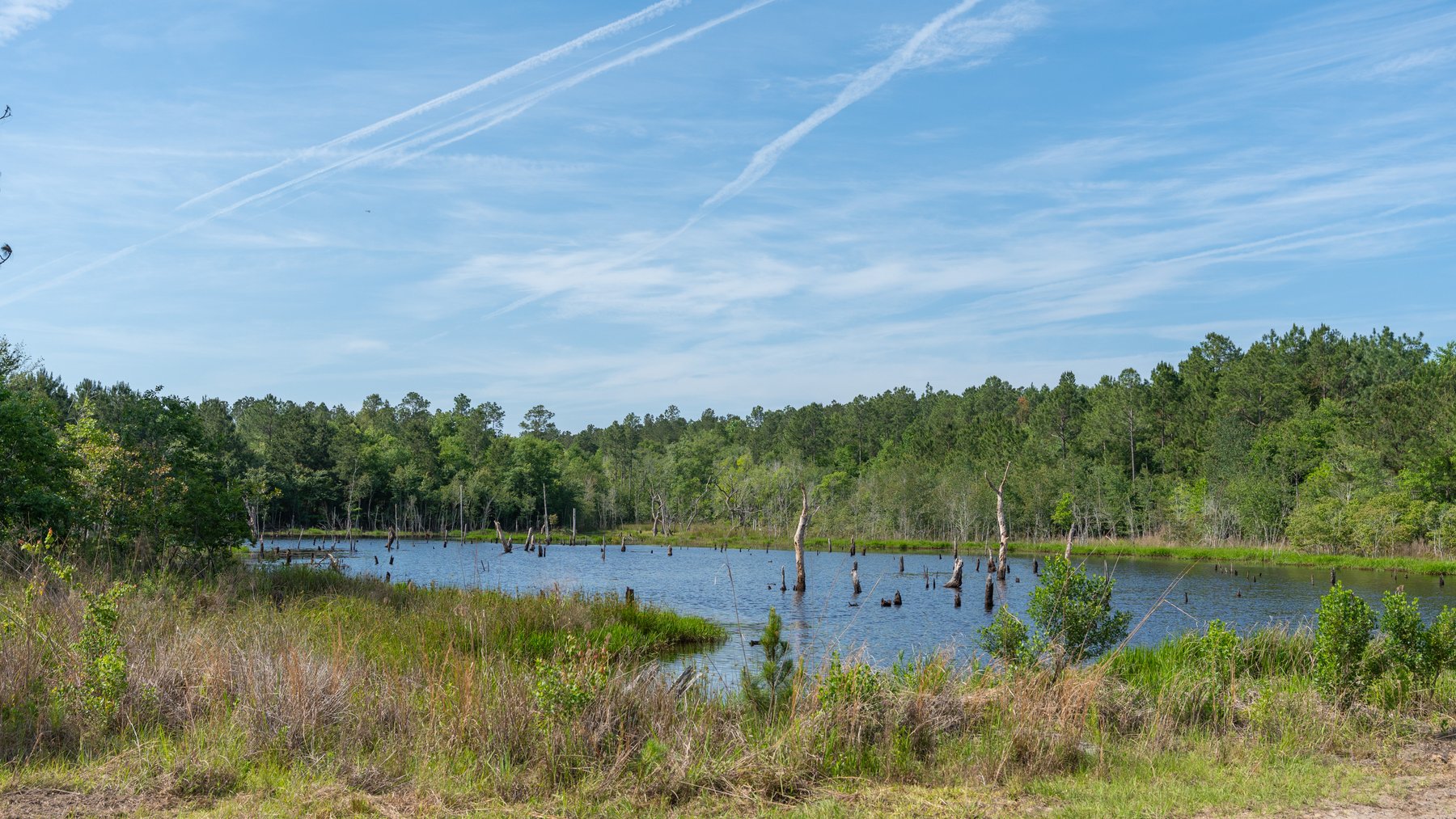 Image for 195+/- Total Acres - Premium Recreational Tract - Trophy Whitetails, Stocked Ponds & Plantation Pines
