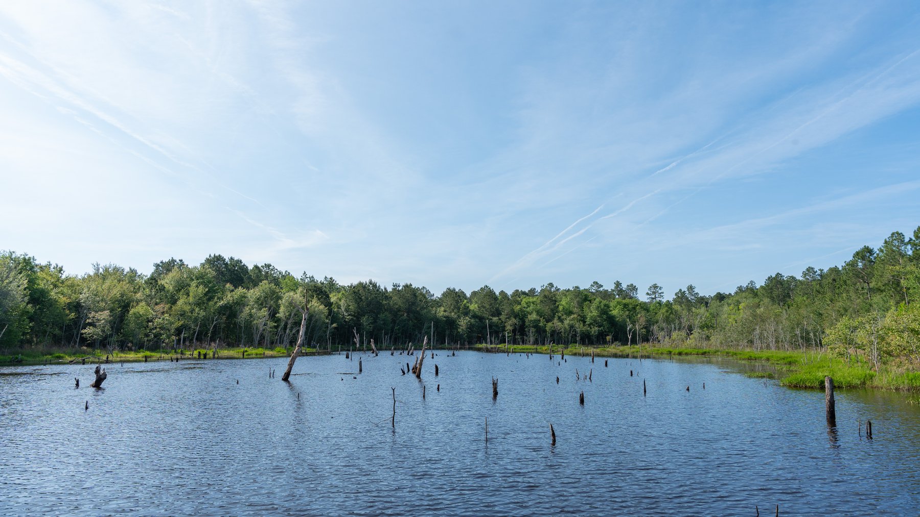 Image for 195+/- Total Acres - Premium Recreational Tract - Trophy Whitetails, Stocked Ponds & Plantation Pines
